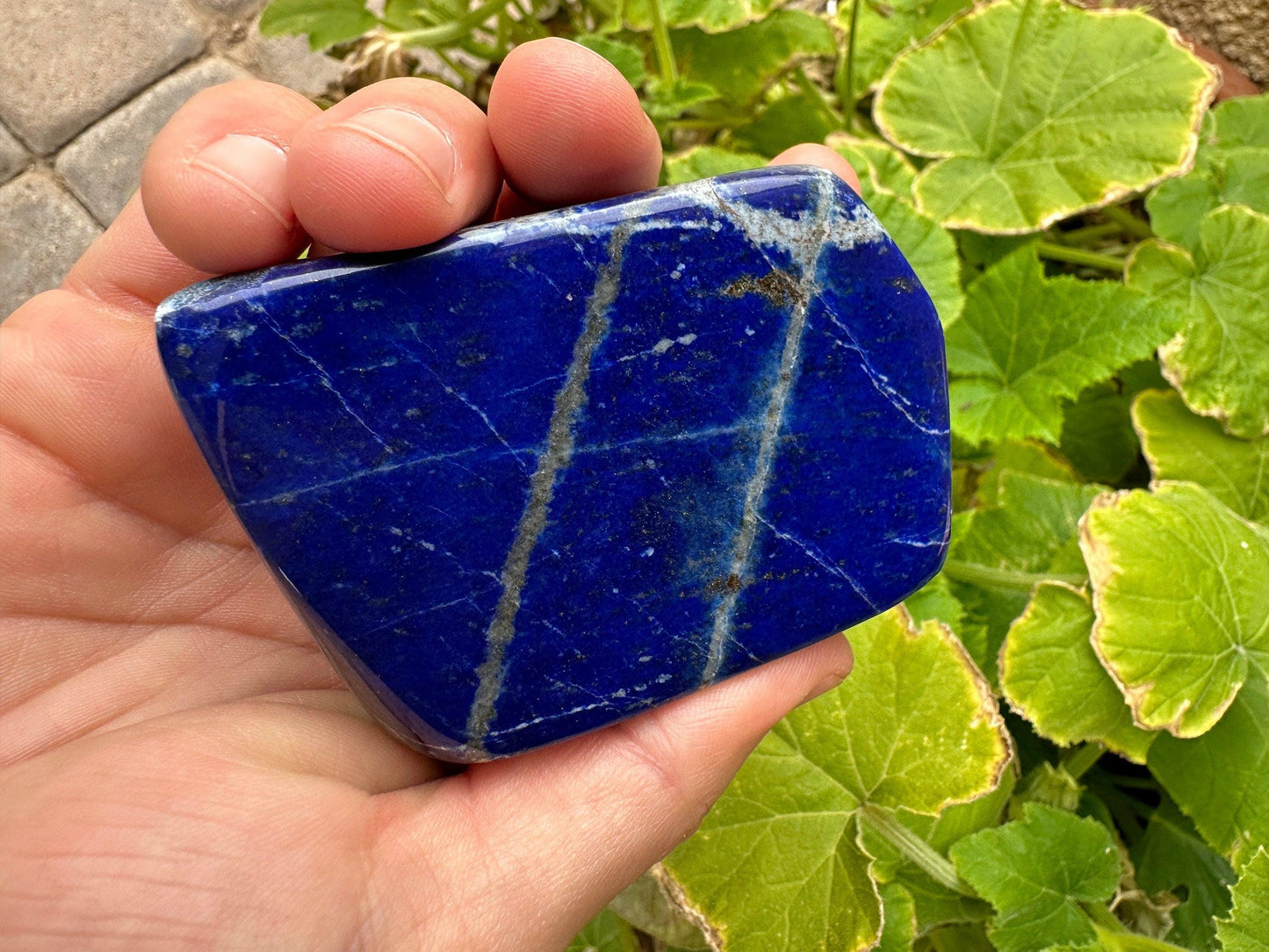 Beautiful High Quality Lapis Lazuli Stone Slab, Rock Collection, Home Decor, Office Decor, Reiki,Throat Chakra, Energy Work, 8.9 ounces