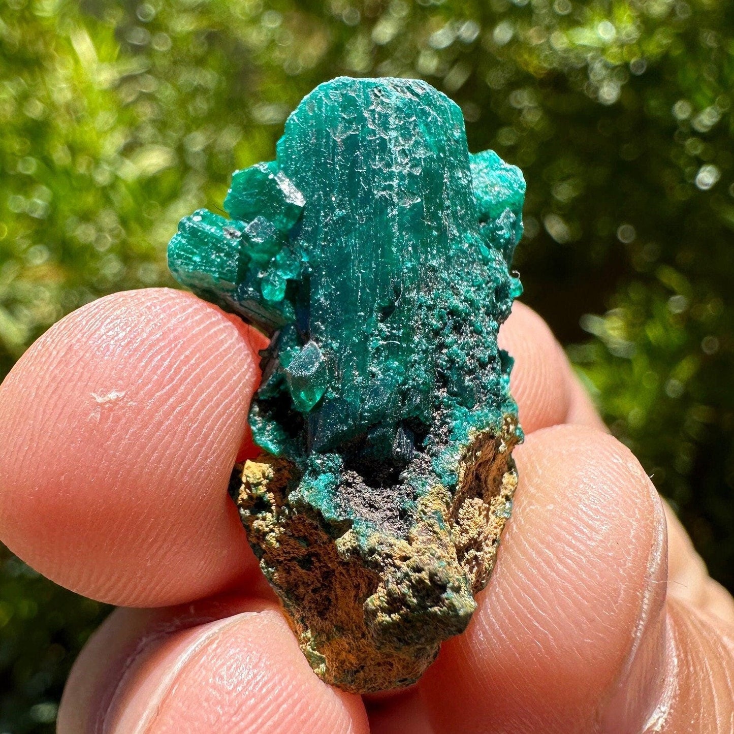 Dioptase, Dioptase Crystal, Deep Emerald Green Color, Authentic, Congo, Reiki, Heart Chakra, Compassion, Financial Abundance, 5.96 grams