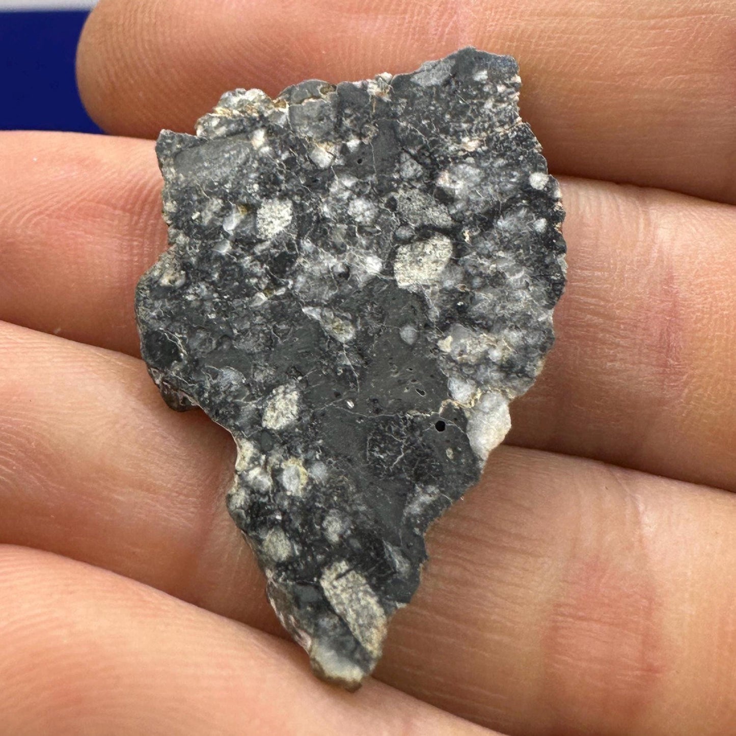 NWA 15583 Moon|Lunar Meteorite Slice, Feldspathic Breccia, Moon Meteorite, Meteorite Collection,Lunar Feldspathic Breccia, 3.48 grams