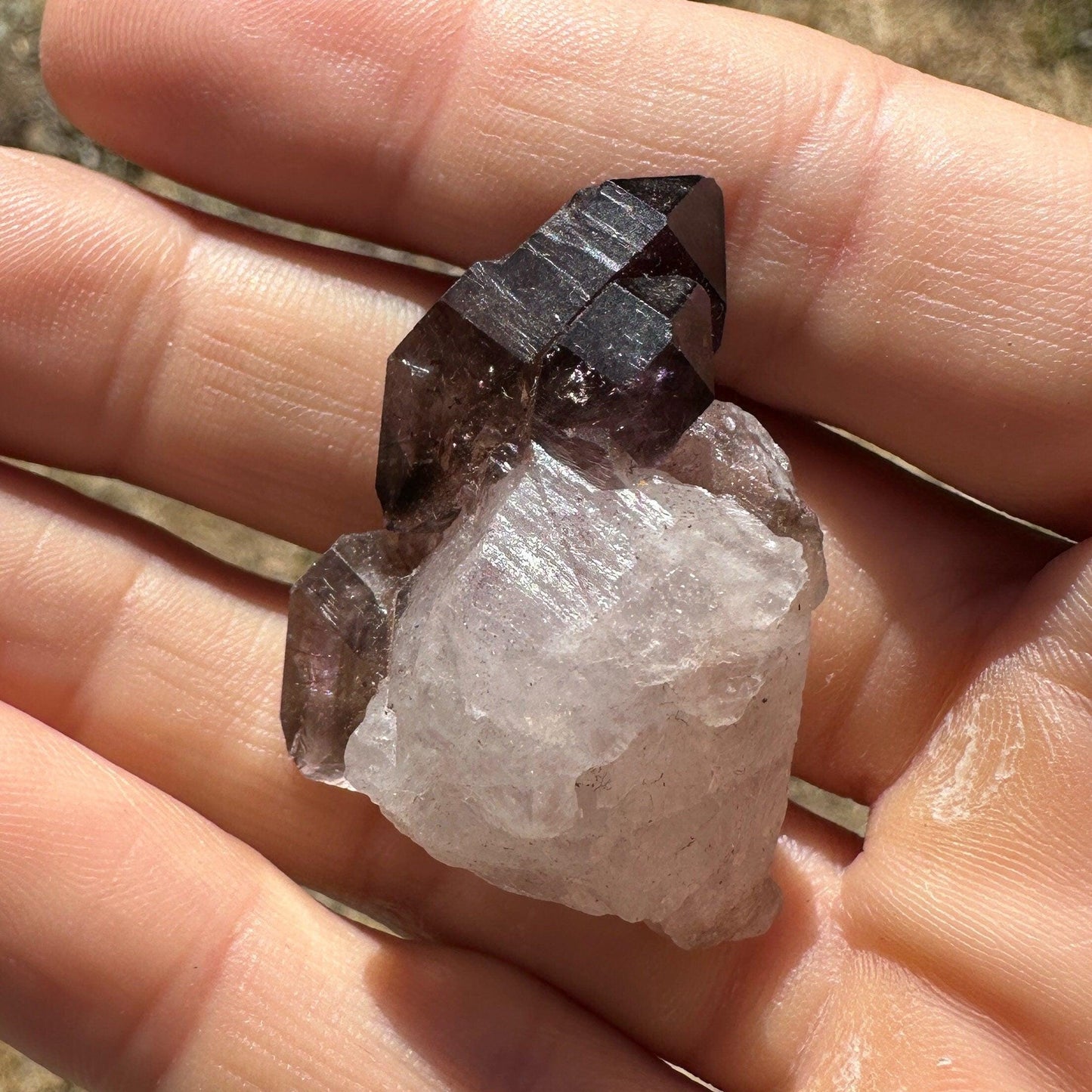 Shangaan Amethyst Crystal Cluster, Crystal Cluster, Amethyst, Zimbabwe, Reiki Healing, Twin Flame, Twin Scepter, 20.41 Grams