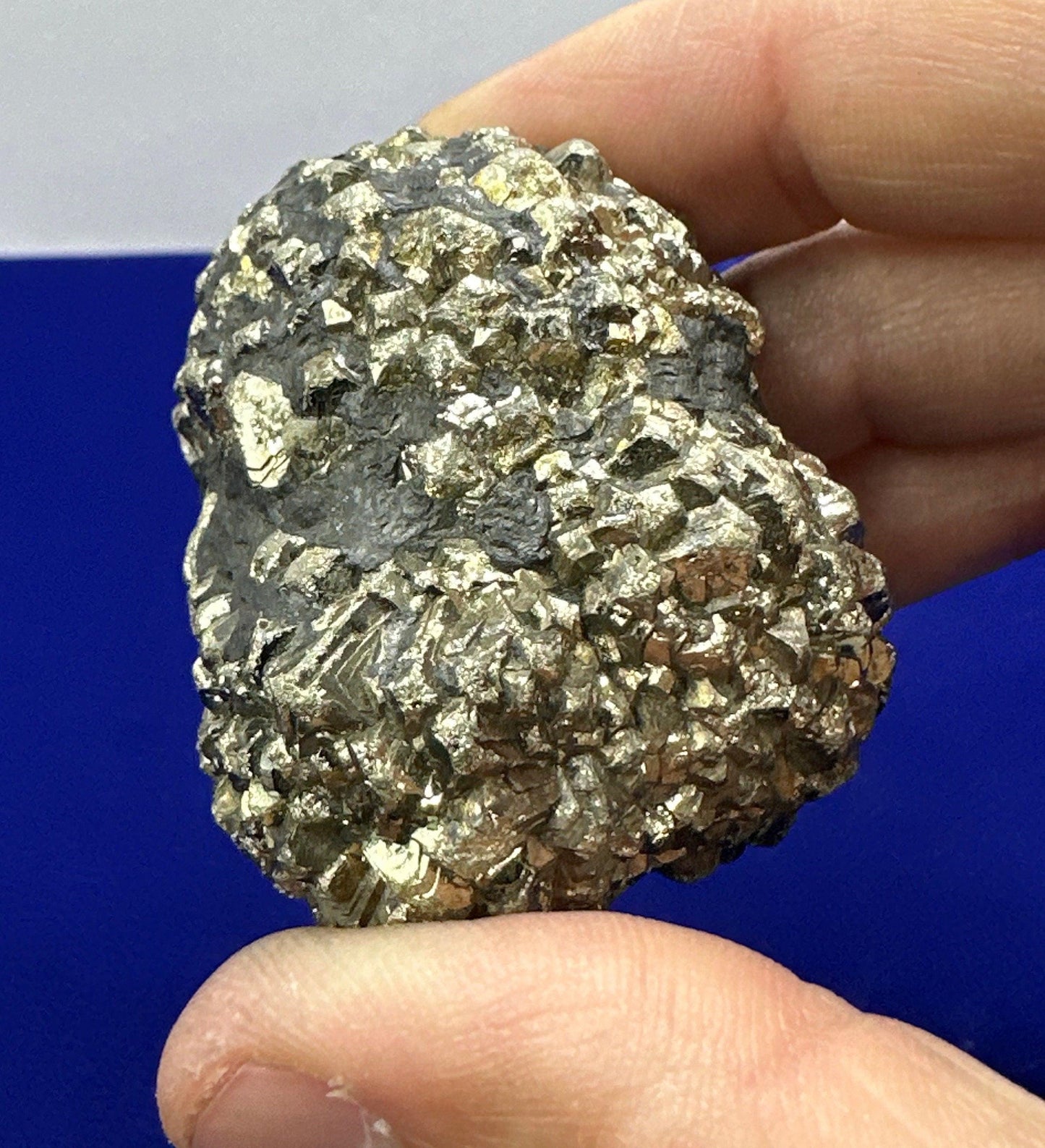 Golden Prophecy Stone, New Find!, Marcasite Nodule, Crystal of Protection, Pyrite, Reiki, Rock Collection, Transformation, 142 grams