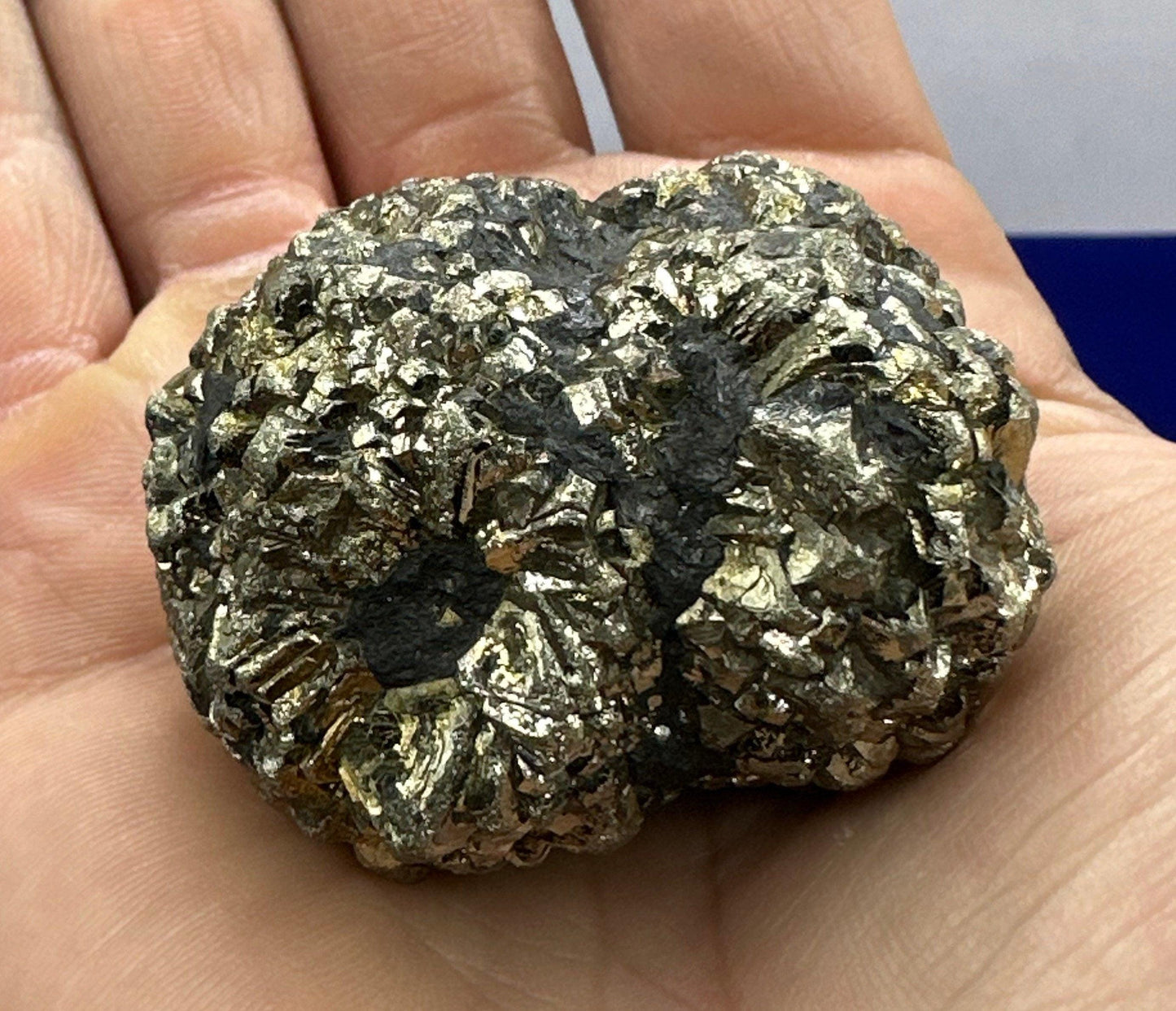 Golden Prophecy Stone, New Find!, Marcasite Nodule, Crystal of Protection, Pyrite, Reiki, Rock Collection, Transformation, 142 grams