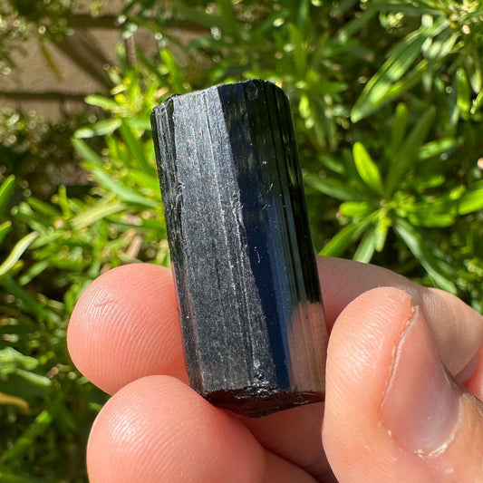 Dravite Crystal Specimen, Brown Tourmaline, Healing Crystal, Crystal Collection, Protection Crystal, Reiki Healing, 17.55 Grams