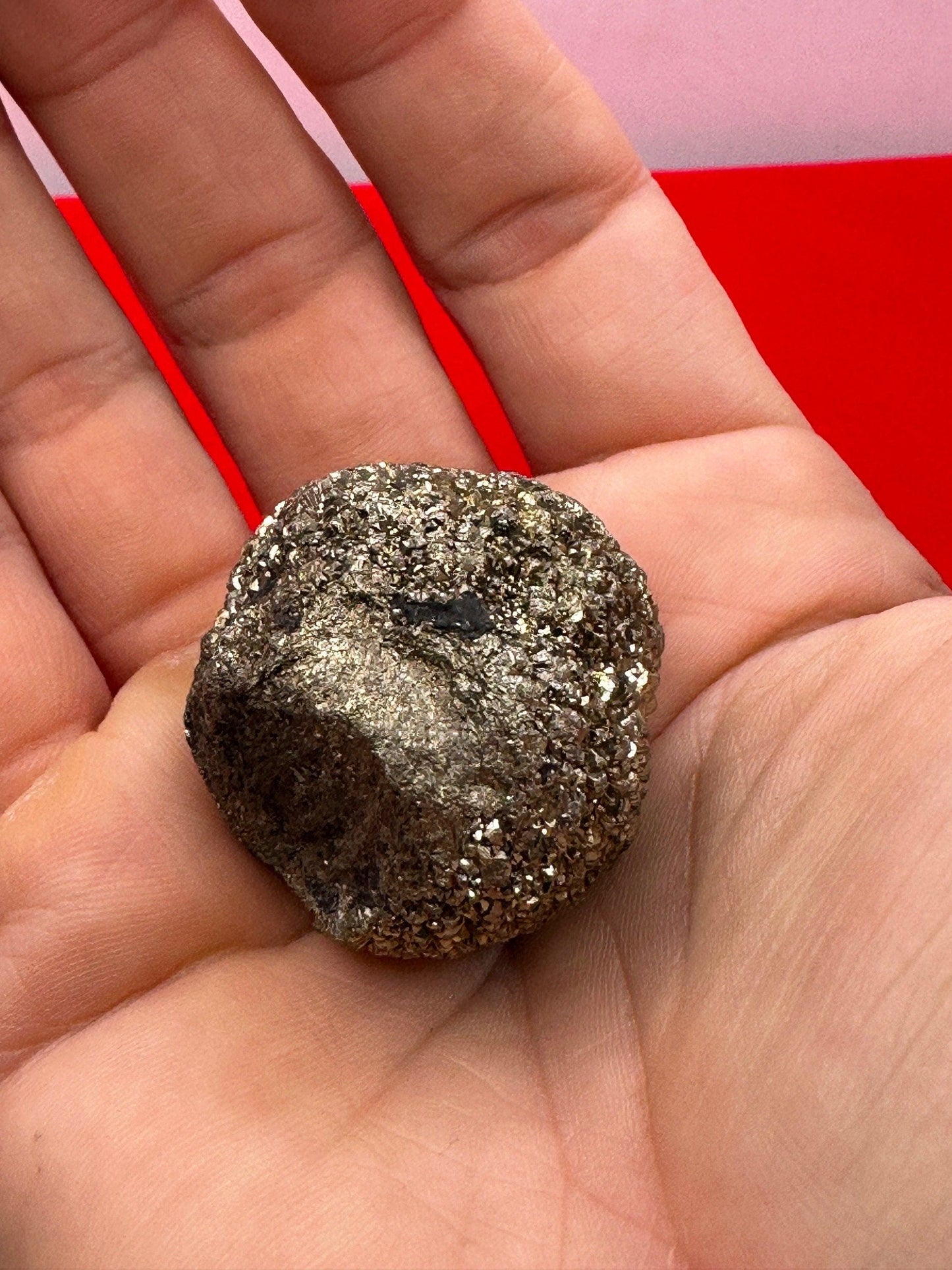 Golden Prophecy Stone, Rare and Unique, Marcasite Nodule, Crystal of Protection, Pyrite, Reiki, Rock Collection, Transformation, 64.49 grams