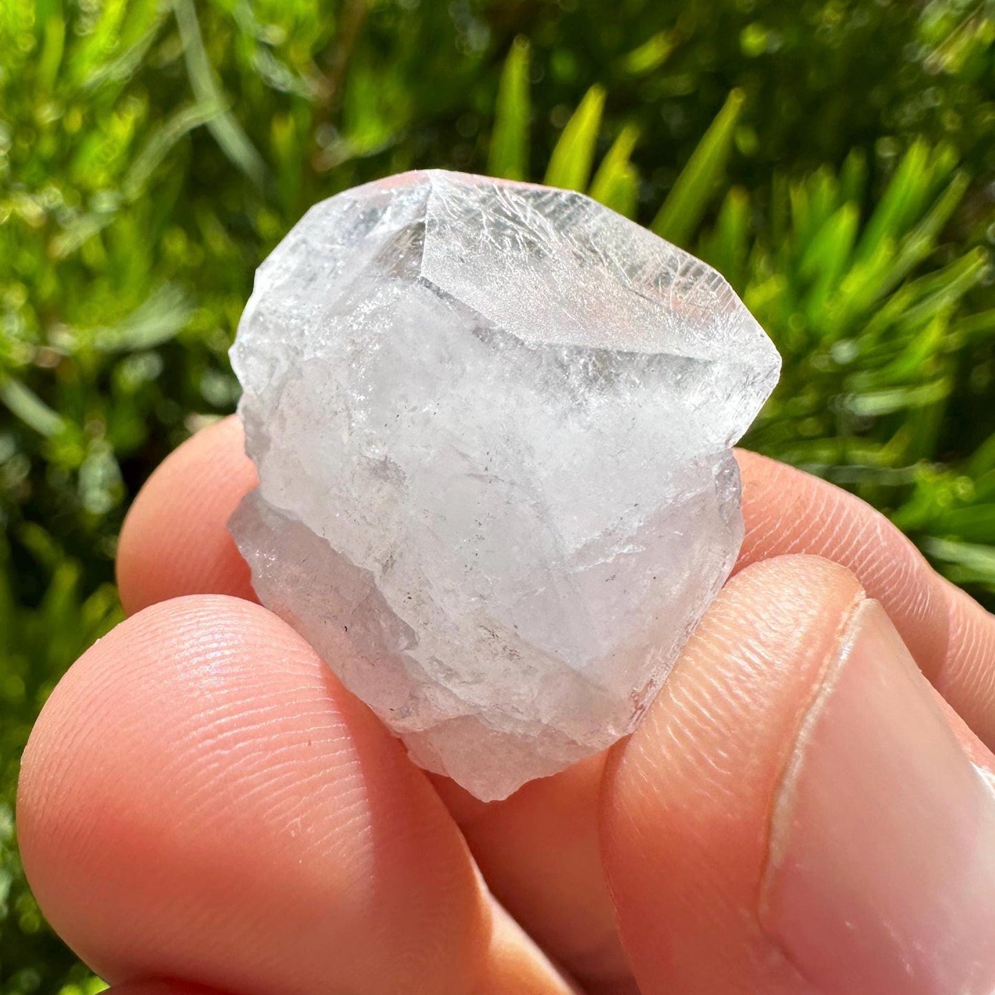 Danburite Crystal, Mexico, Meditation, Reiki, Energy Healing, Synergy Twelve, Crystal Collection, Chakras, Crystals, 9.12 grams