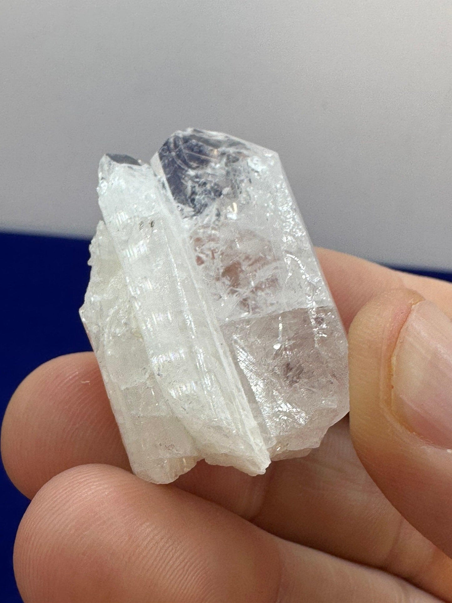 Danburite Crystal, Mexico, Meditation, Reiki, Energy Healing, Synergy Twelve, Crystal Collection, Chakras, Crystals, 16.80 grams