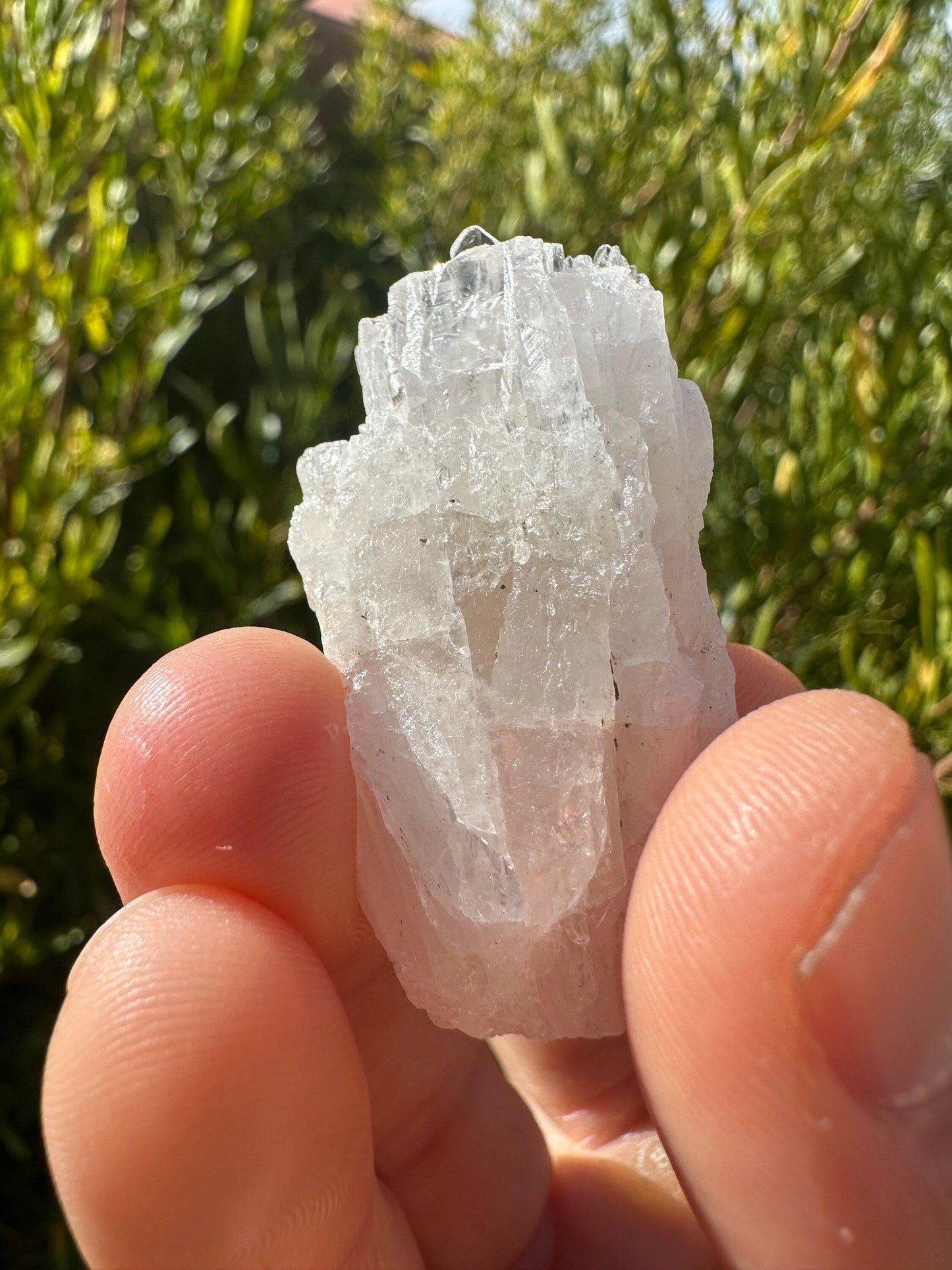 Danburite Crystal Cluster, Mexico, Meditation, Reiki, Energy Healing, Synergy Twelve, Crystal Collection, Chakras, Crystals, 20.82 grams