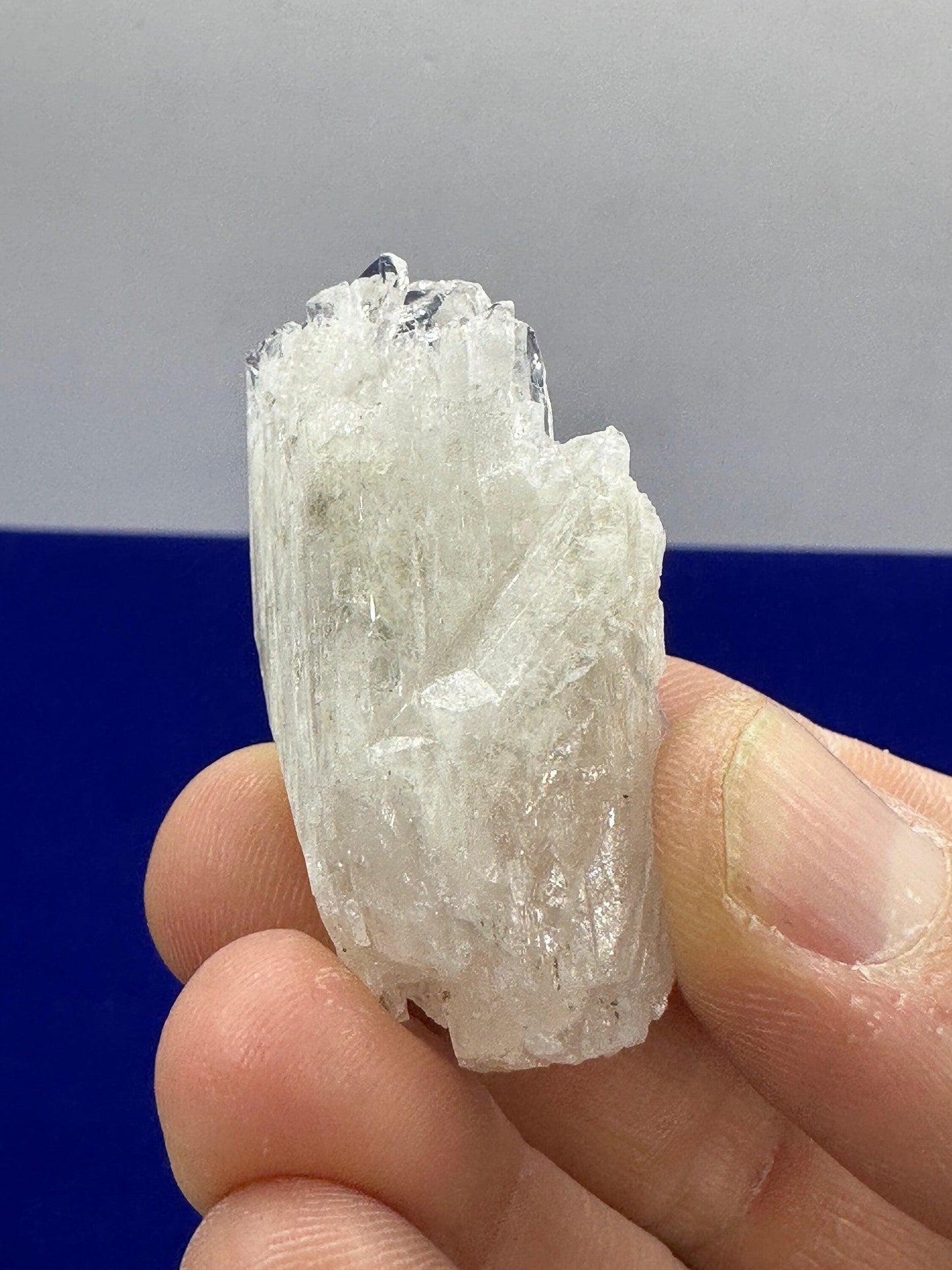 Danburite Crystal Cluster, Mexico, Meditation, Reiki, Energy Healing, Synergy Twelve, Crystal Collection, Chakras, Crystals, 20.82 grams