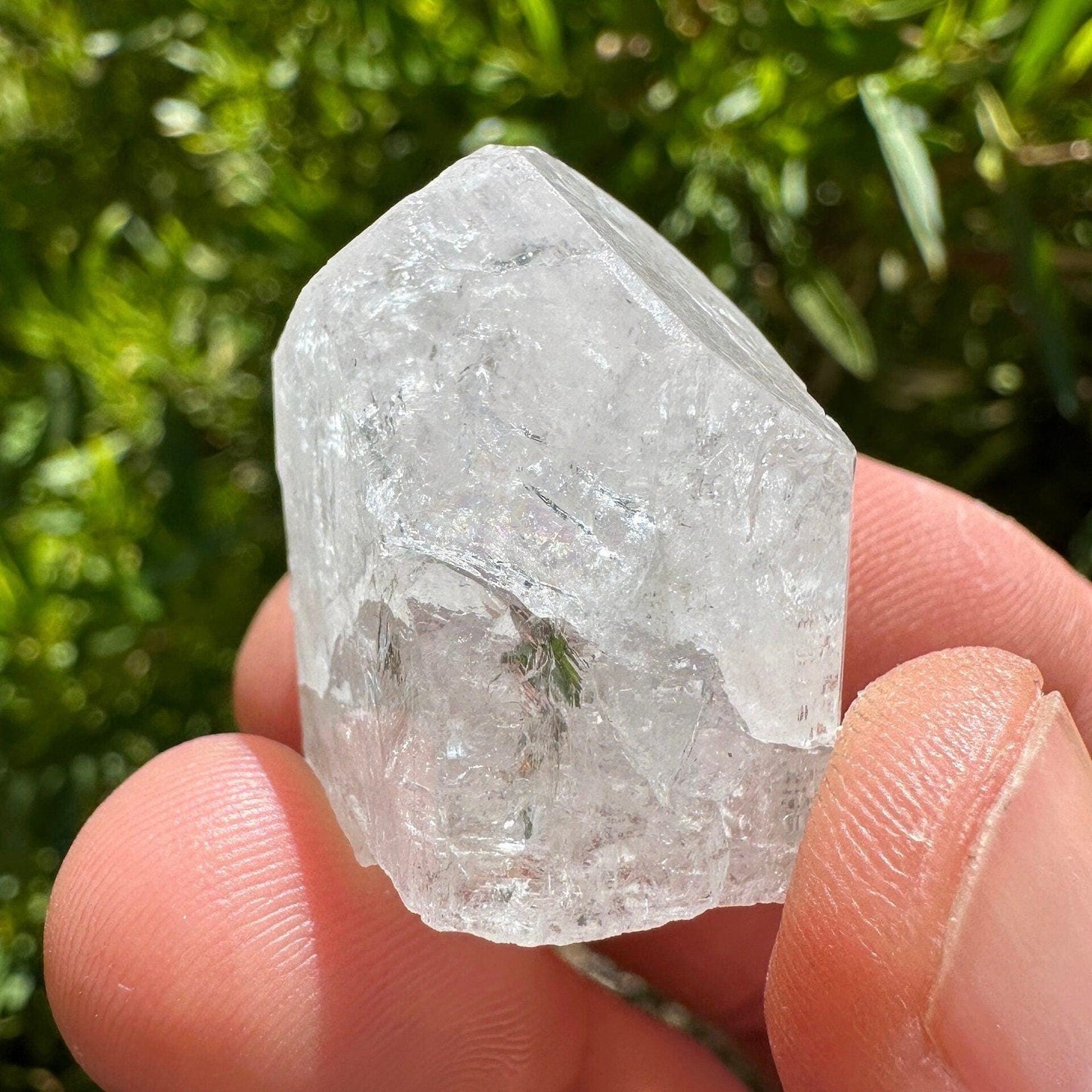 Danburite Crystal, Mexico, Meditation, Reiki, Energy Healing, Synergy Twelve, Crystal Collection, Chakras, Crystals, 21.51 grams