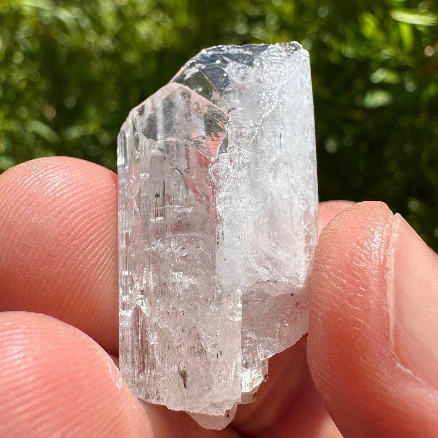 Danburite Crystal, Mexico, Meditation, Reiki, Energy Healing, Synergy Twelve, Crystal Collection, Chakras, Crystals, 9.90 grams