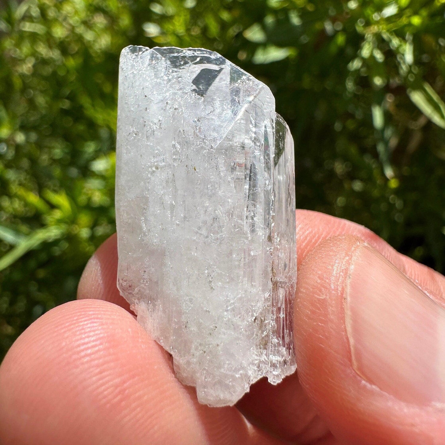 Danburite Crystal, Mexico, Meditation, Reiki, Energy Healing, Synergy Twelve, Crystal Collection, Chakras, Crystals, 9.90 grams