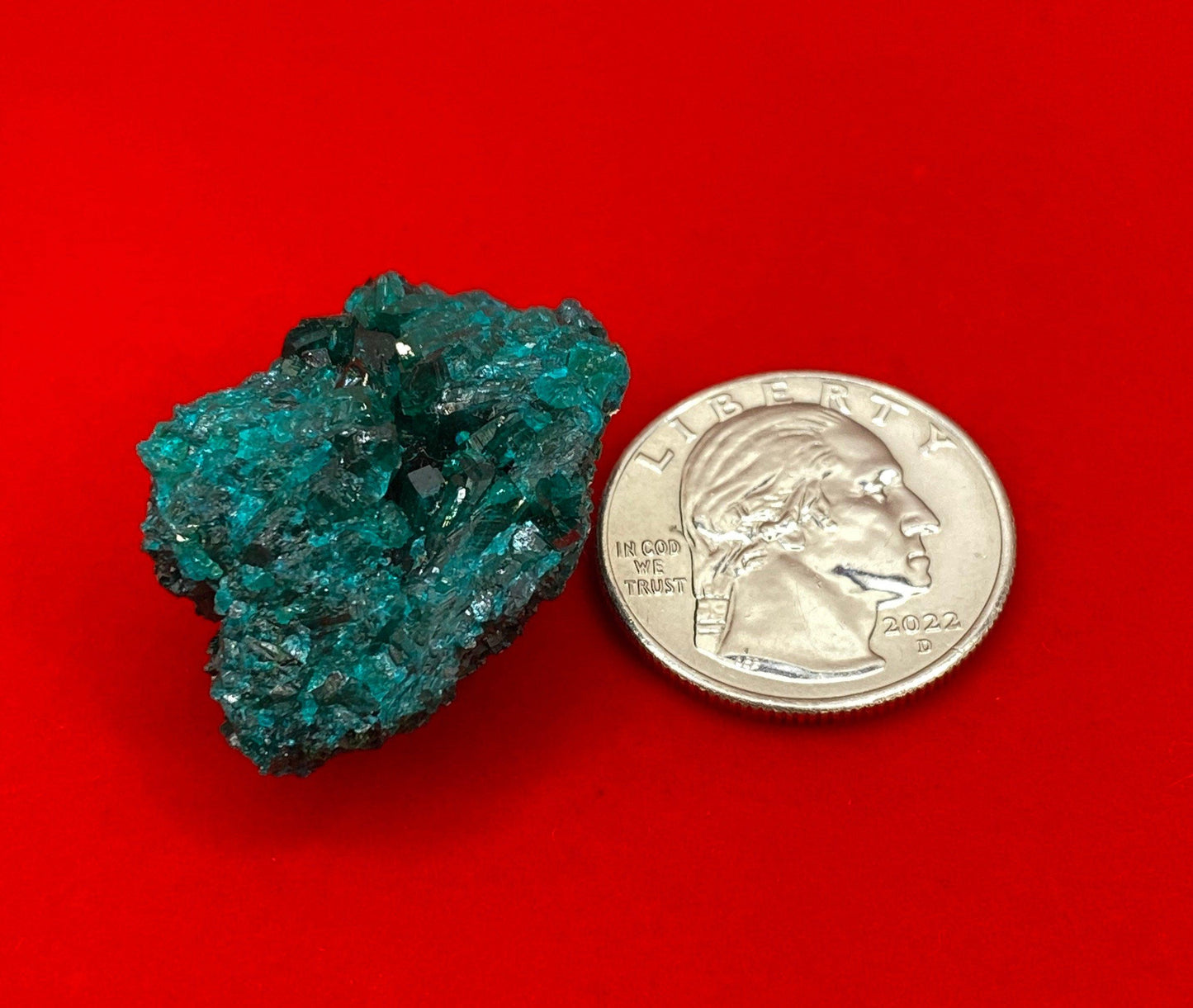 Dioptase, Dioptase Crystal, Deep Emerald Green Color, Authentic, Congo, Reiki, Heart Chakra, Compassion, Financial Abundance, 14.89 grams