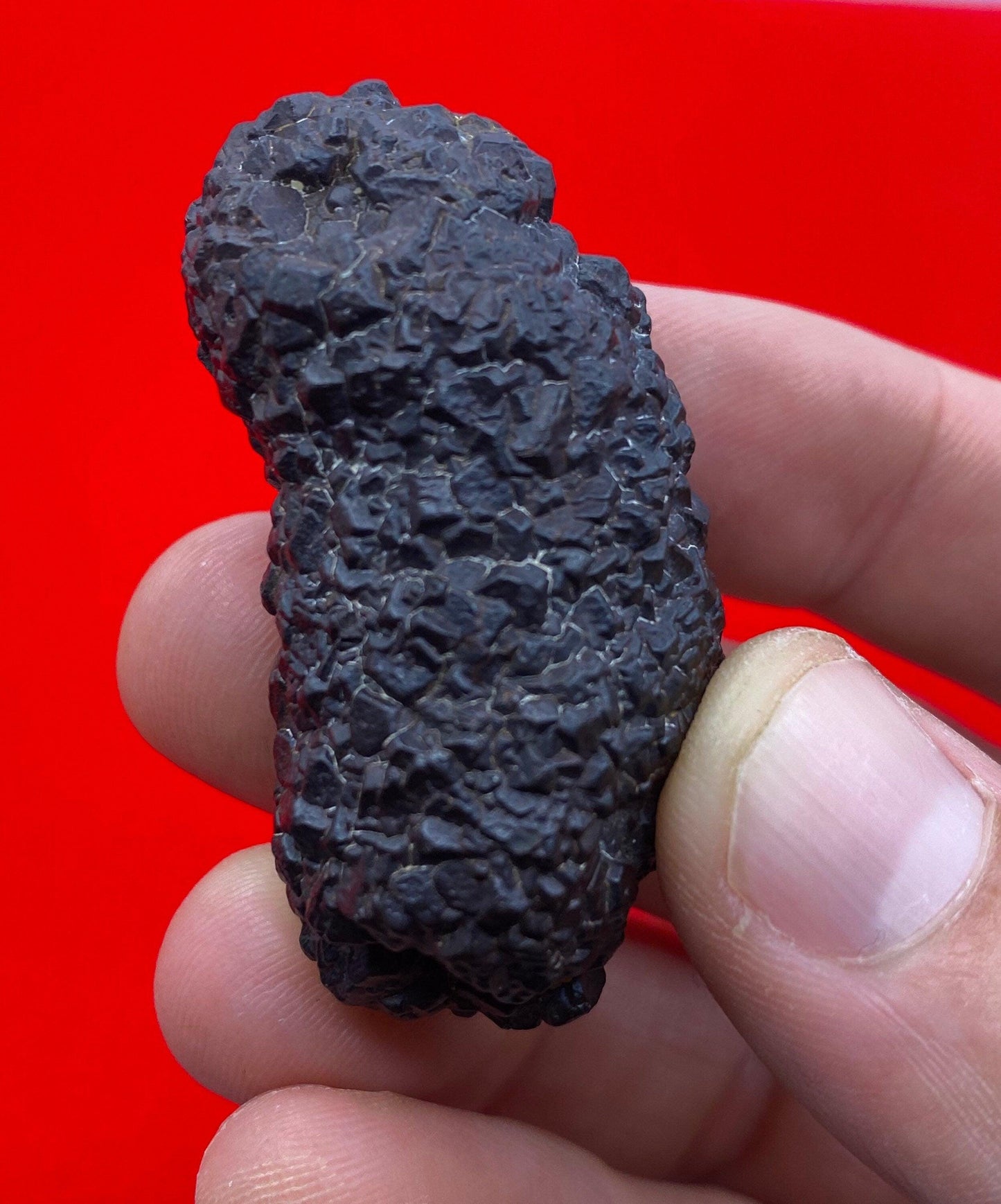 Prophecy Stone from Egypt, Authentic, Inner Vision, Dreamwork stone, Rare and unique shape and features, Reiki, Rock Collection, 61.37 grams