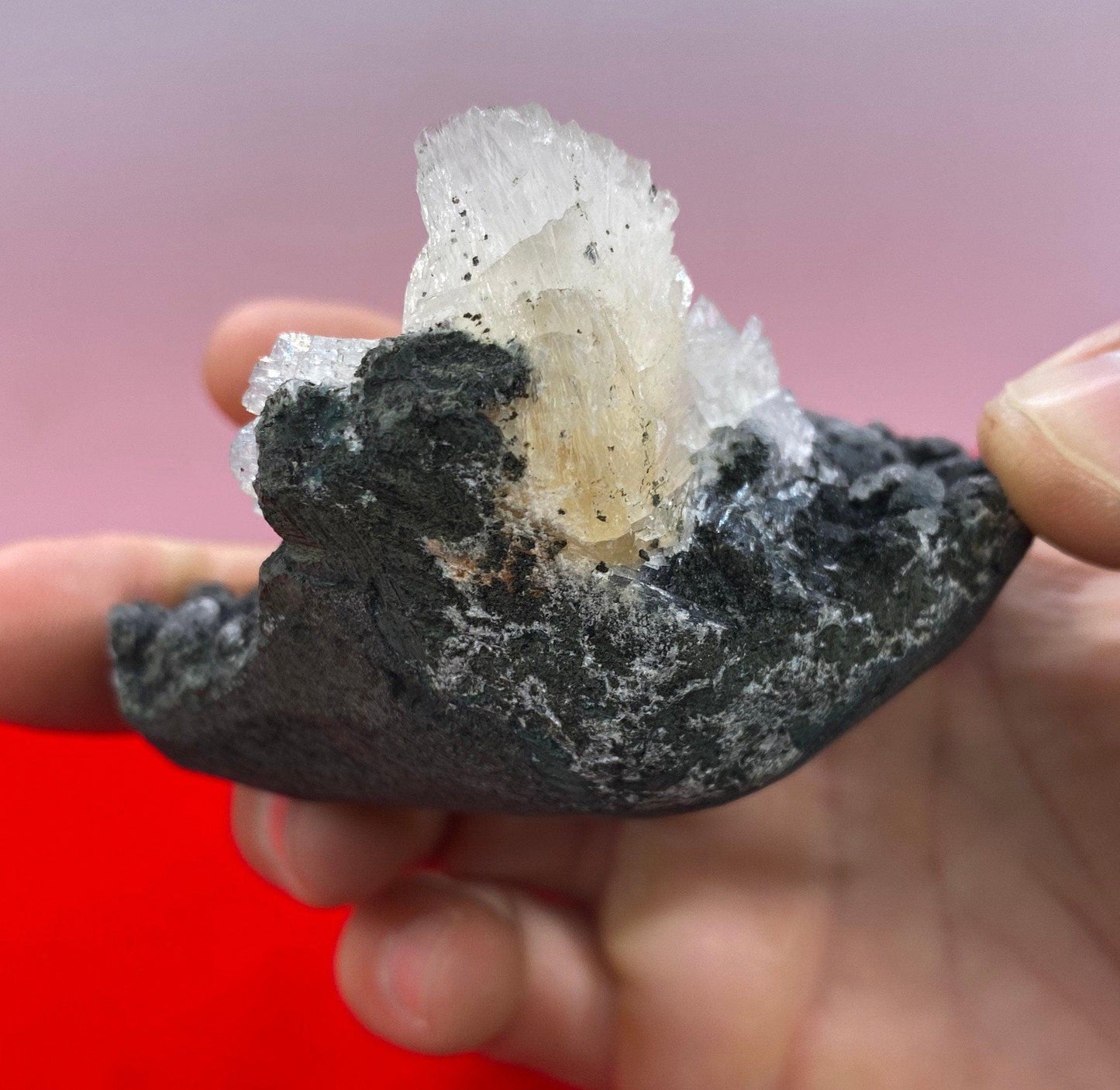 Beautiful Stilbite on Black Coral Stalactite Geode, Peaceful, Stilbite, India, Crown Chakra, Crystal, Rock Collection, 176 grams