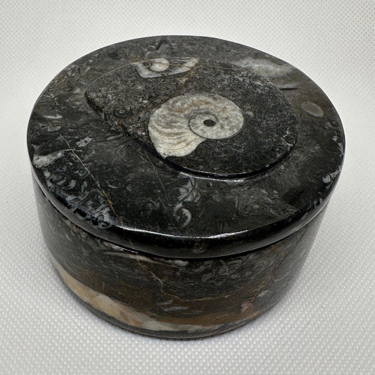 Beautiful Ammonite Handmade Stash Box, Round Black Marble Box with Fitted Lid, Golden Section, Fossil, Morocco, 13.7 ounces