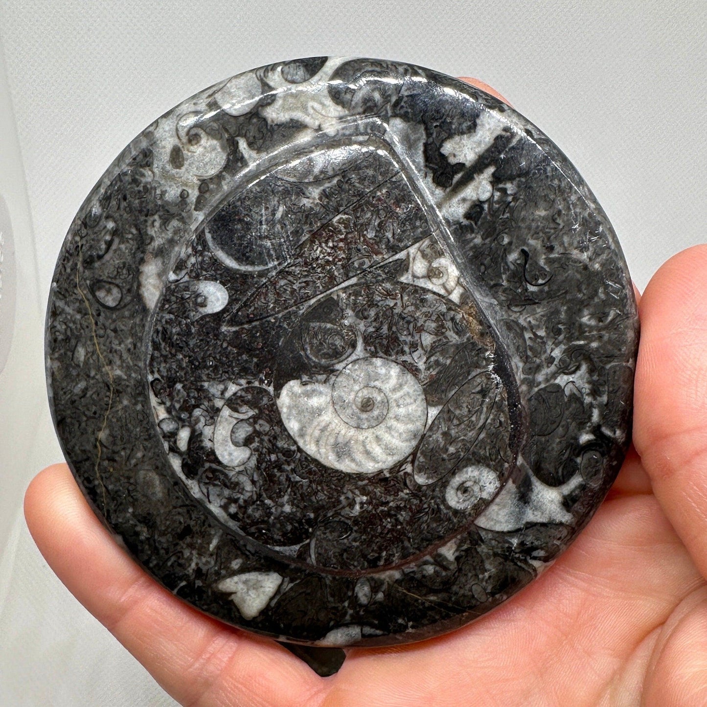 Beautiful Ammonite Handmade Stash Box, Round Black Marble Box with Fitted Lid, Golden Section, Fossil, Morocco, 13.8 ounces