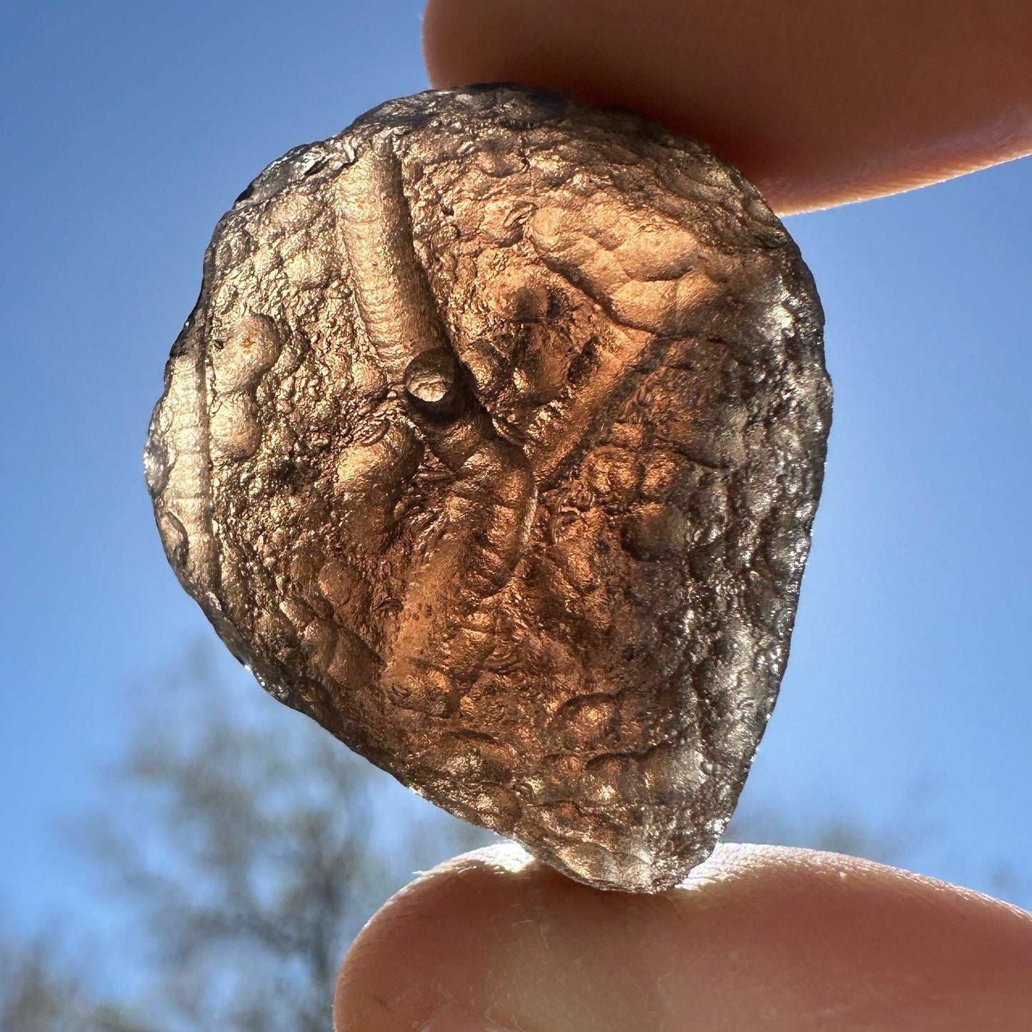 Colombianite Specimen, Beautiful and Translucent, Shamanic, Tektite, Pseudotektite, Obsidian, Healing Energy, Metaphysical, 17.69  grams