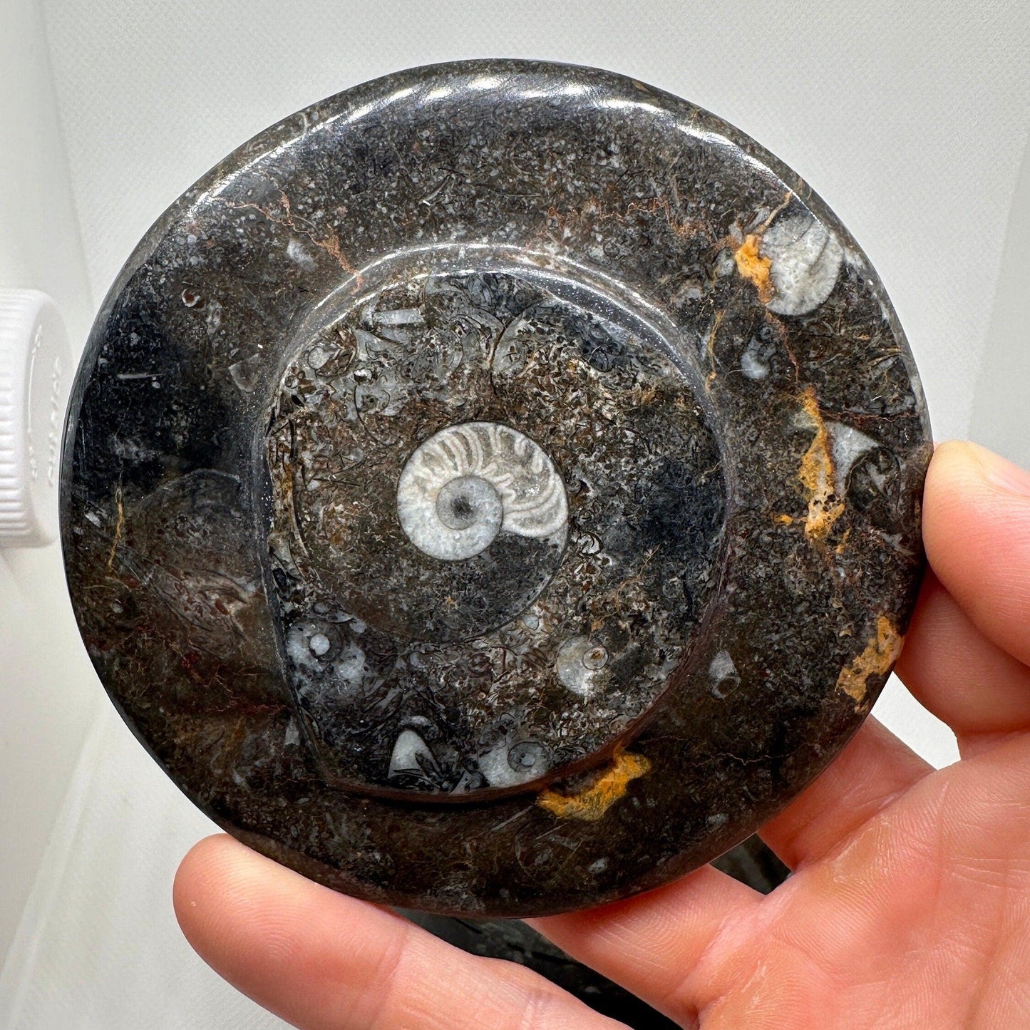 Beautiful Ammonite Handmade Stash Box, Round Black Marble Box with Fitted Lid, Golden Section, Fossil, Morocco, 13.6 ounces