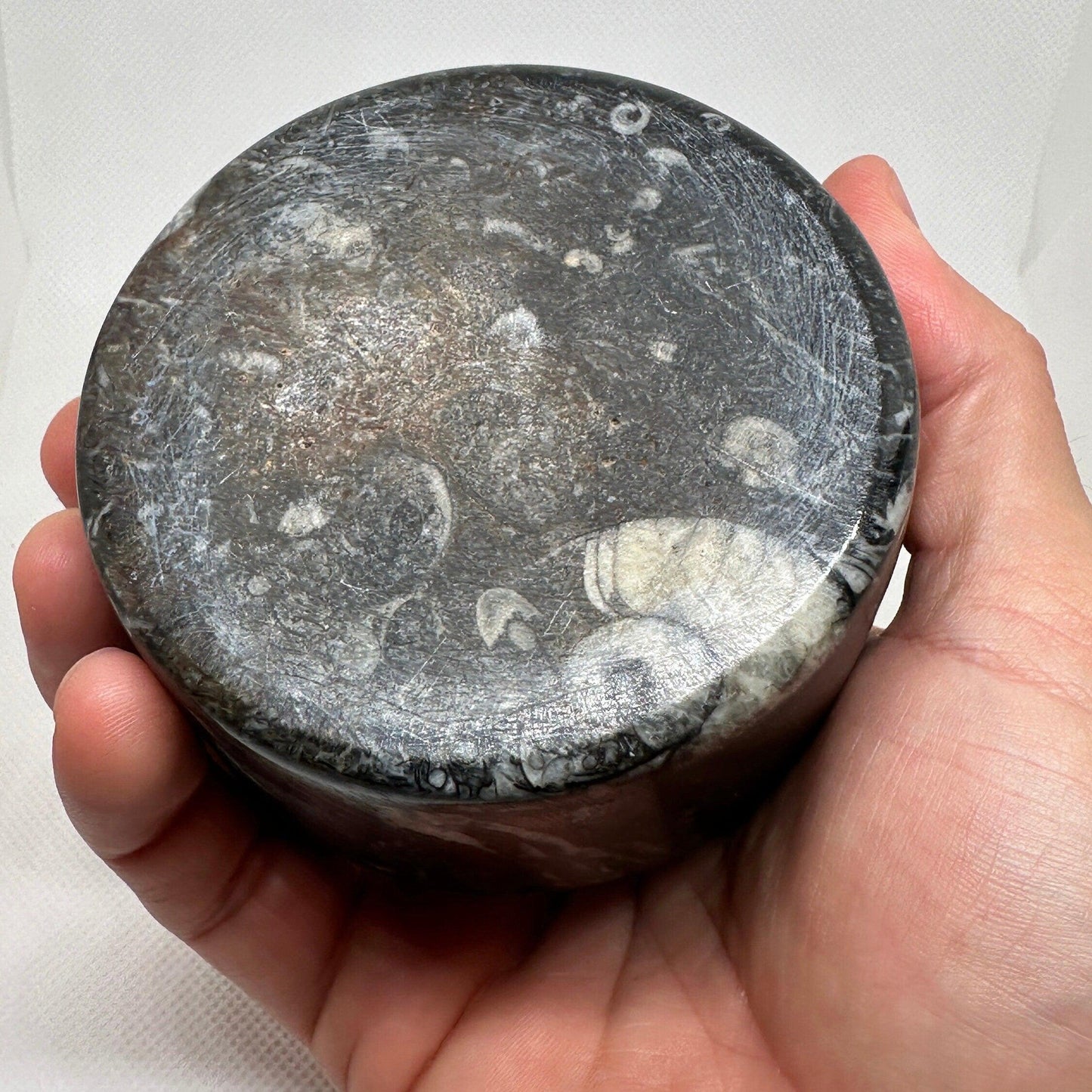 Beautiful Ammonite Handmade Stash Box, Round Black Marble Box with Fitted Lid, Golden Section, Fossil, Morocco, 13.7 ounces