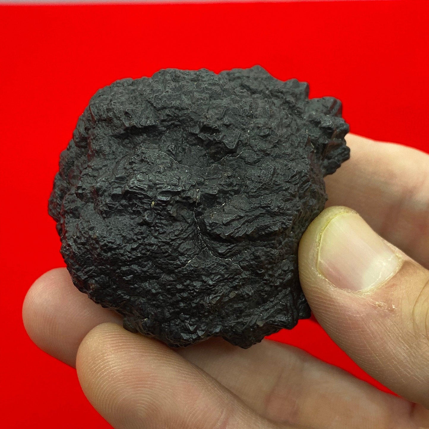 Rare and Unique Large Prophecy Stone Nugget from Egypt, Authentic, Inner Vision, A variety of shapes, Dreamwork, Energy Work, 180 grams