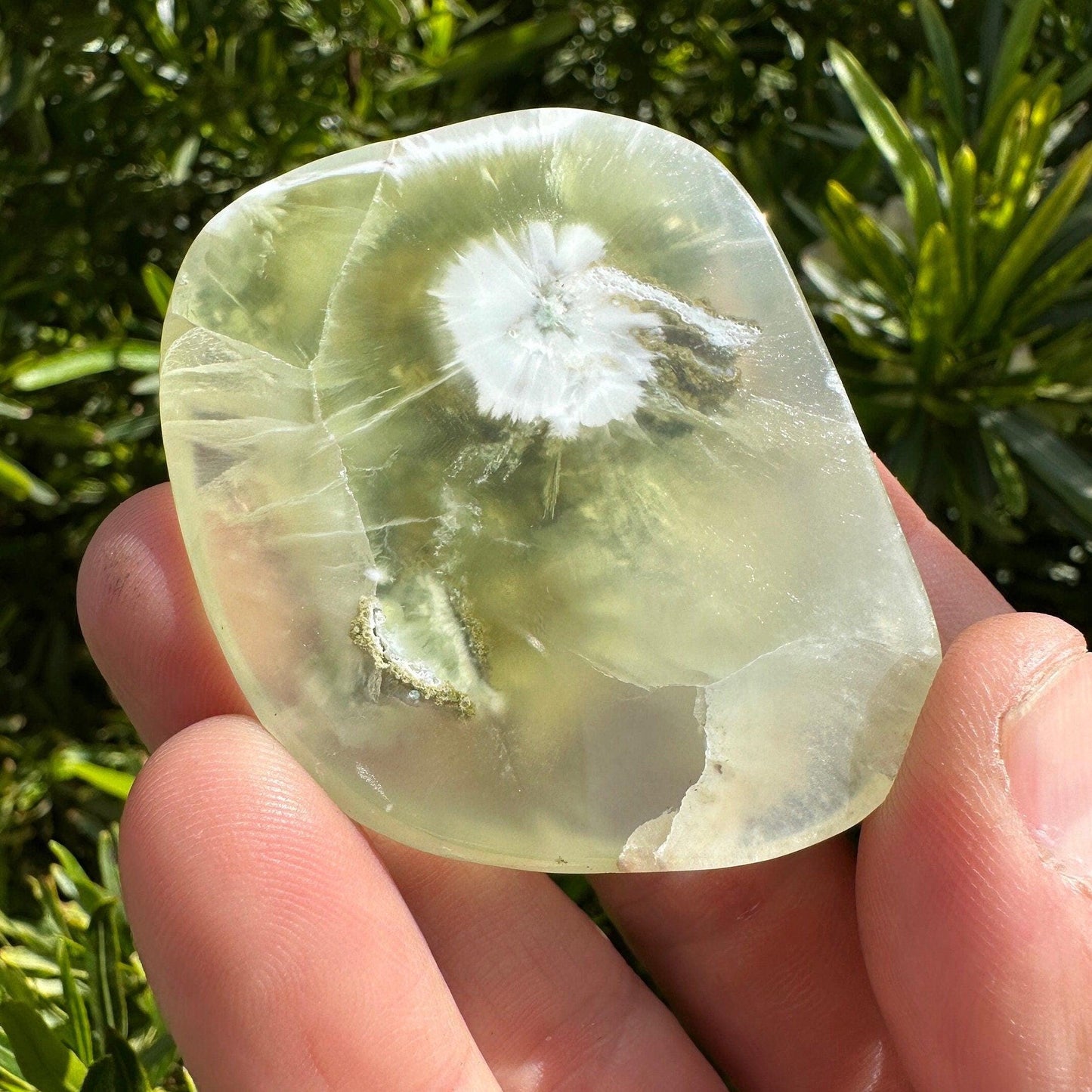 Prehnite Naturalite, Banana Slice Prehnite, Top Quality Prehnite, Wave Hill, Australian Prehnite, Lucid Dreaming, 47.02 grams|235.1 carats