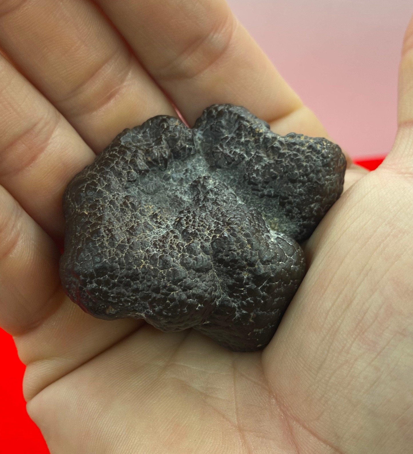 Rare abstract shaped Prophecy Stone from Egypt, Round Stone, Inner Vision, Dreamwork stone, Reiki, Rock Collection, 101.97 grams