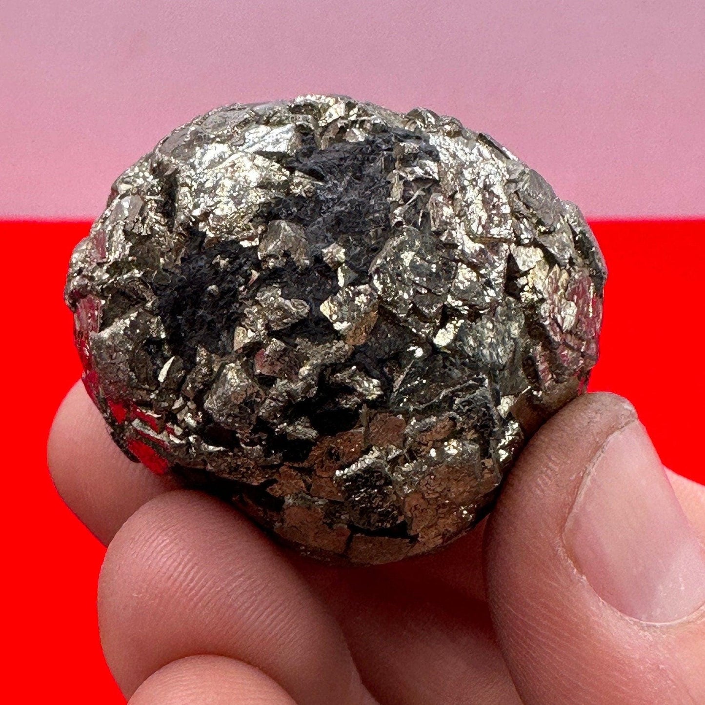 Golden Prophecy Stone, Rare and Unique, Marcasite Nodule, Crystal of Protection, Pyrite, Reiki, Rock Collection, Transformation, 87.81 grams