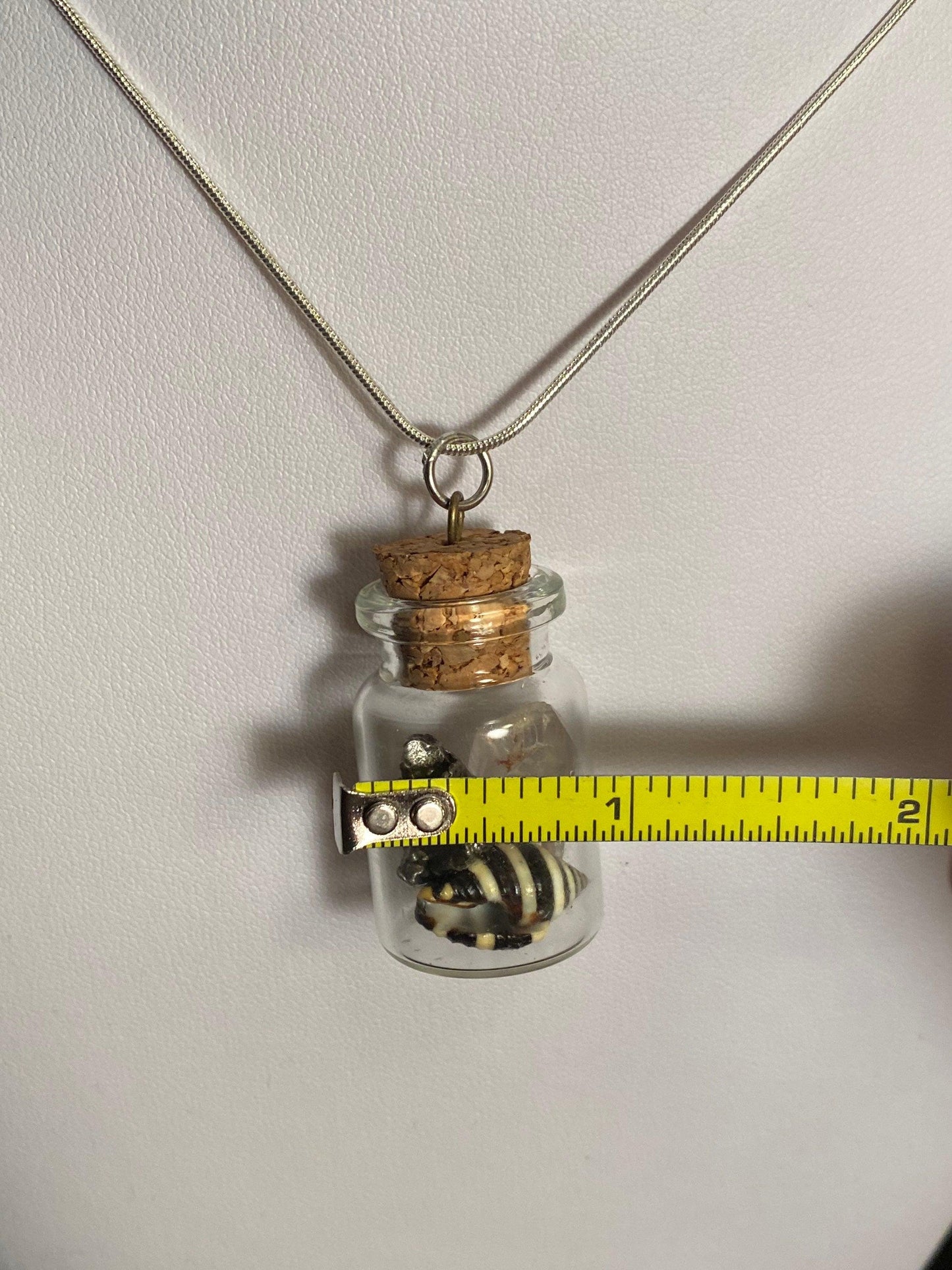 Earth, Water and Space in a Bottle Pendant (Himalayan Quartz, Beehive Shell, Meteorite)