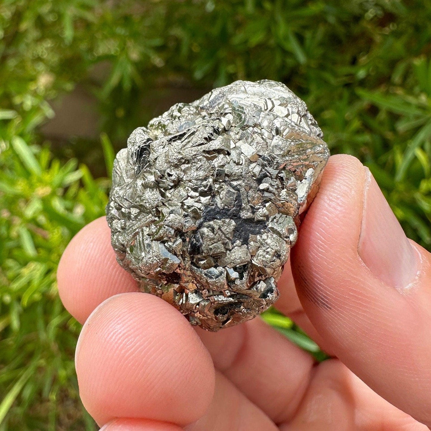 Golden Prophecy Stone, Rare and Unique, Marcasite Nodule, Crystal of Protection, Pyrite, Reiki, Rock Collection, Transformation, 39.14 grams