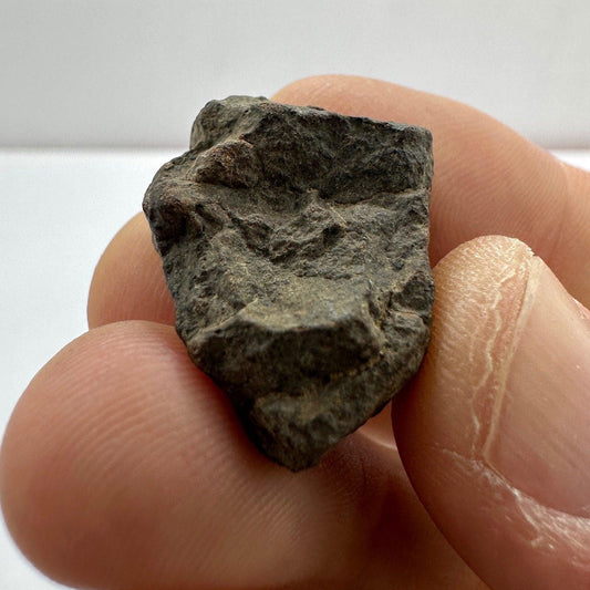 NWA 3133 Carbonaceous Chondrite, CV7, 7.68 grams, Authentic Meteorite, Authentic Meteorite, COA, Astronomy Gift, Ex Hupe Collection, Space