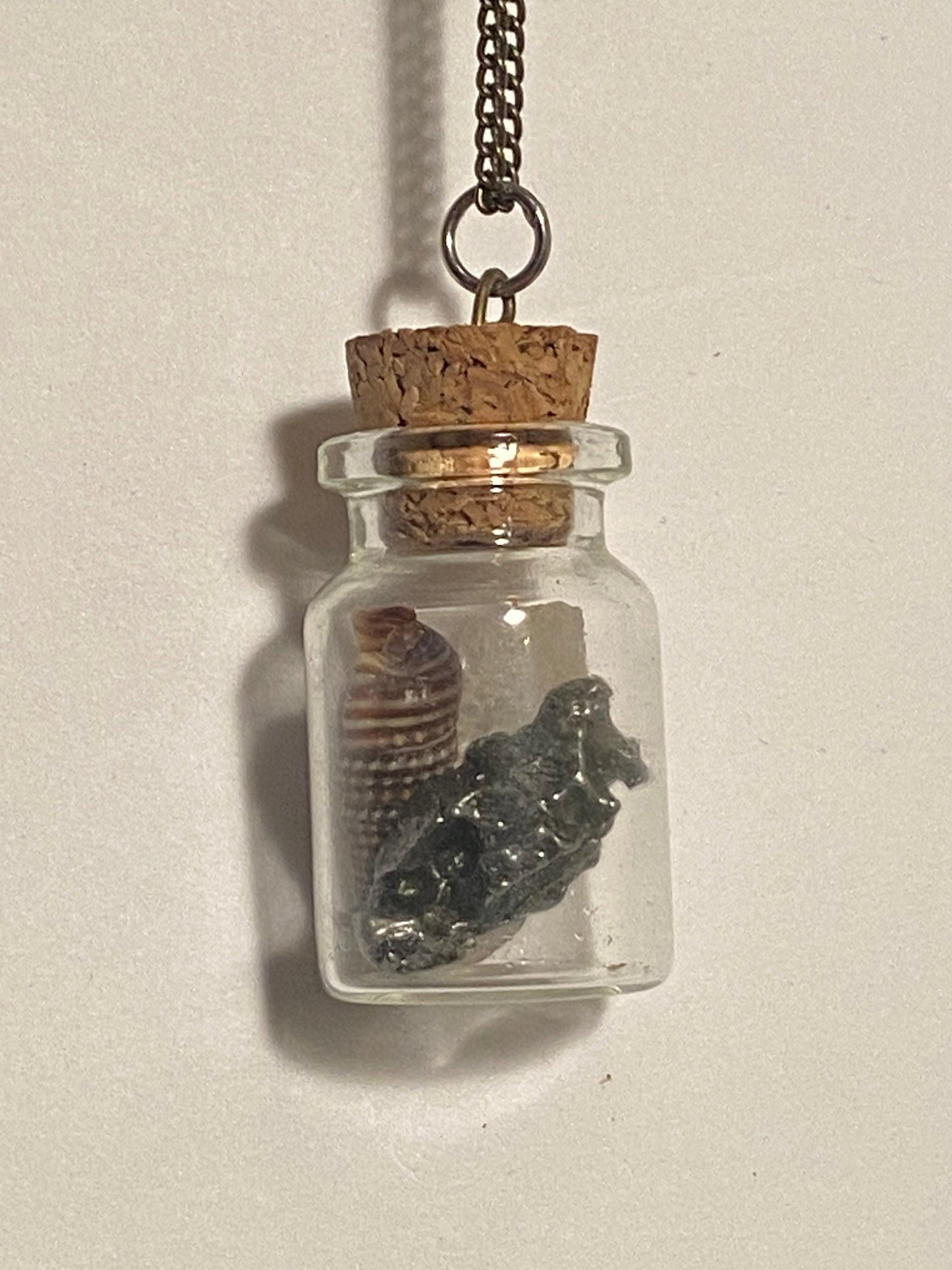 Earth, Water and Space in a Bottle Pendant (Himalayan Quartz, Cerithium Shell, Meteorite)