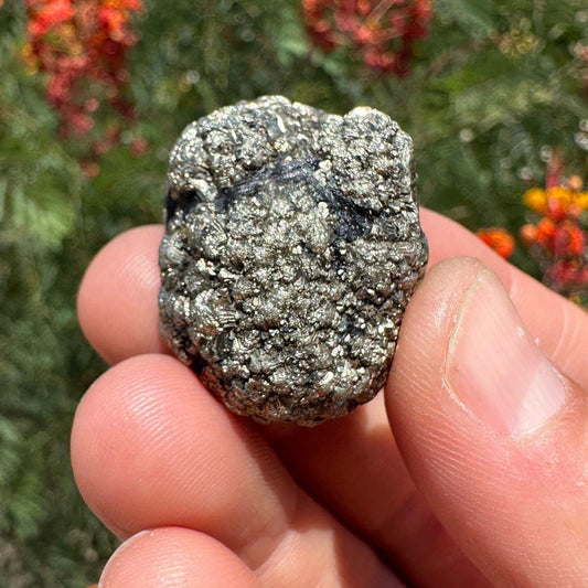 Golden Prophecy Stone, Rare and Unique, Marcasite Nodule, Crystal of Protection, Pyrite, Reiki, Rock Collection, Transformation, 37.30 grams