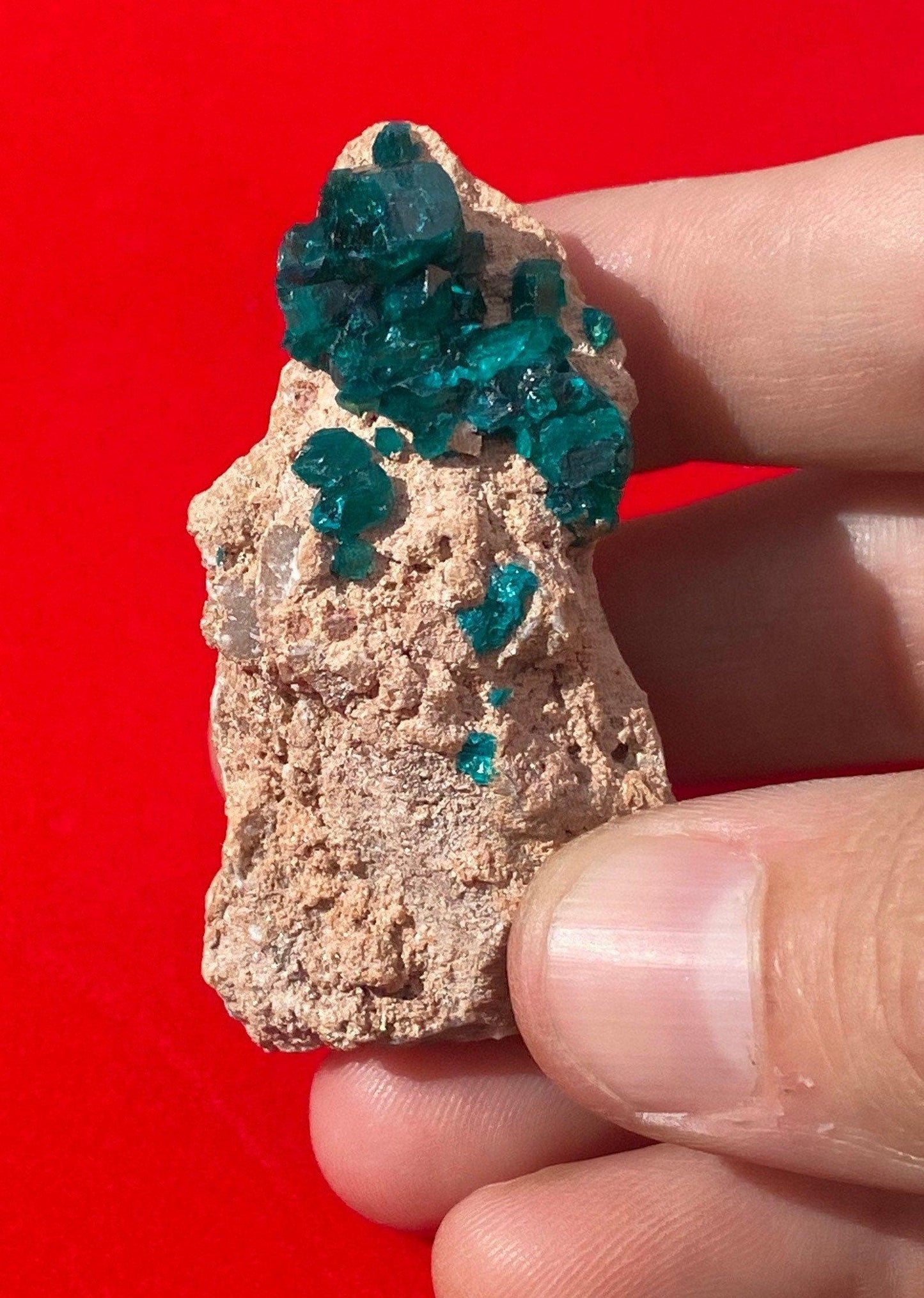 Dioptase, Dioptase Crystal, Deep Emerald Green Color, Authentic, Congo, Reiki, Heart Chakra, Compassion, Financial Abundance, 47.32 grams