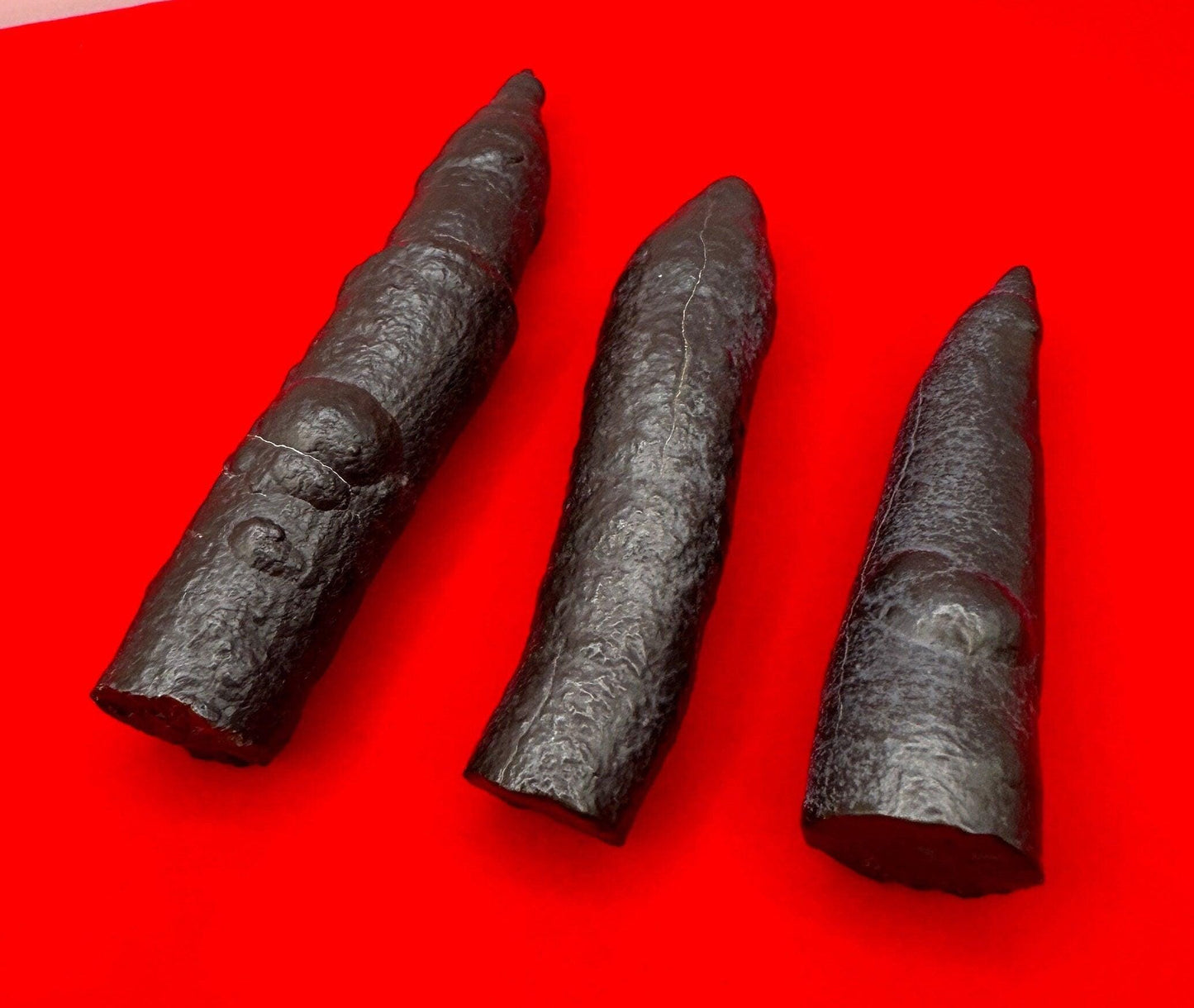 Rare and Unique Large Elongated Prophecy Stones from Egypt, Lot of Three, Witches Fingers, Authentic, Inner Vision, Dreamwork, 147.97 grams