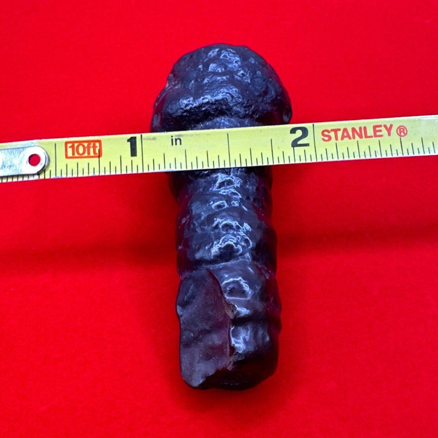 Rare and Unique Large Elongated Prophecy Stone from Egypt, Witches Toe, Authentic, Inner Vision, Dreamwork, Energy Work, 42.29 grams