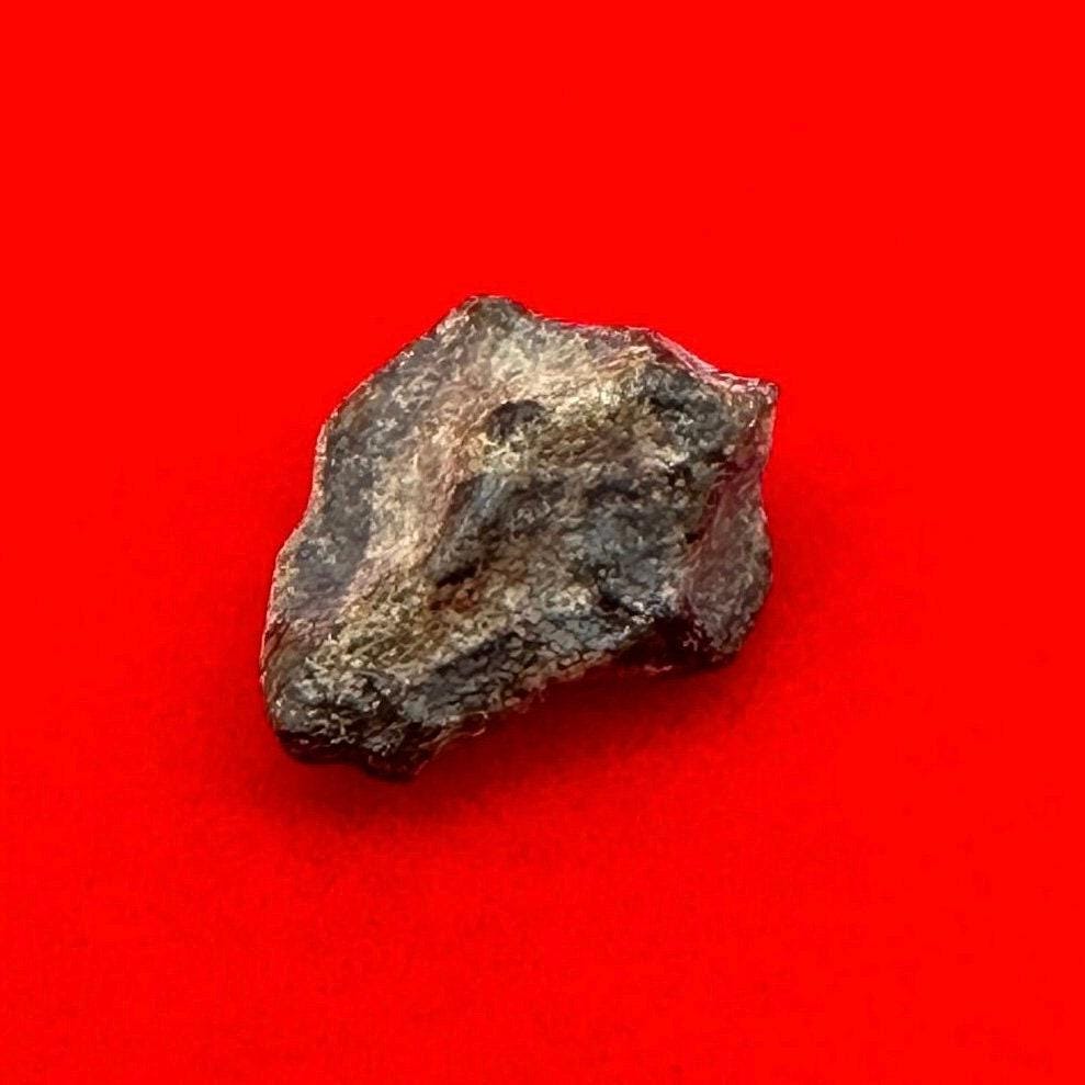 Mars Meteorite, Amgala Mars Meteorite, Mars Meteorite Display, Mars Rock, Authentic Meteorite, Mars, COA, Astronomy Gift, Space Gift, 8.0 oz