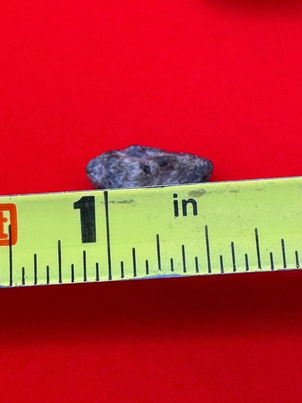 Mars Meteorite, Amgala Mars Meteorite, Mars Meteorite Display, Mars Rock, Authentic Meteorite, Mars, COA, Astronomy Gift, Space Gift, 8.0 oz