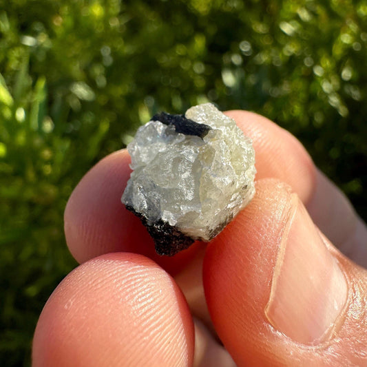 Beautiful Phenacite/Phenakite Crystal, Brazil, Full Moon Activated, Meditation, Awakening, Brazilian Phenacite, 2.50 grams, 12.5 carats