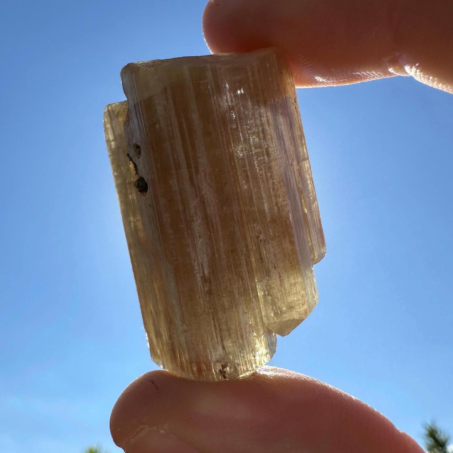 Beautiful Yellow Apatite, Imilchil Morocco, Apatite Crystal, Manifestation, Solar Plexus, Crystal Collection, 38.92 Grams/194.6 Carats