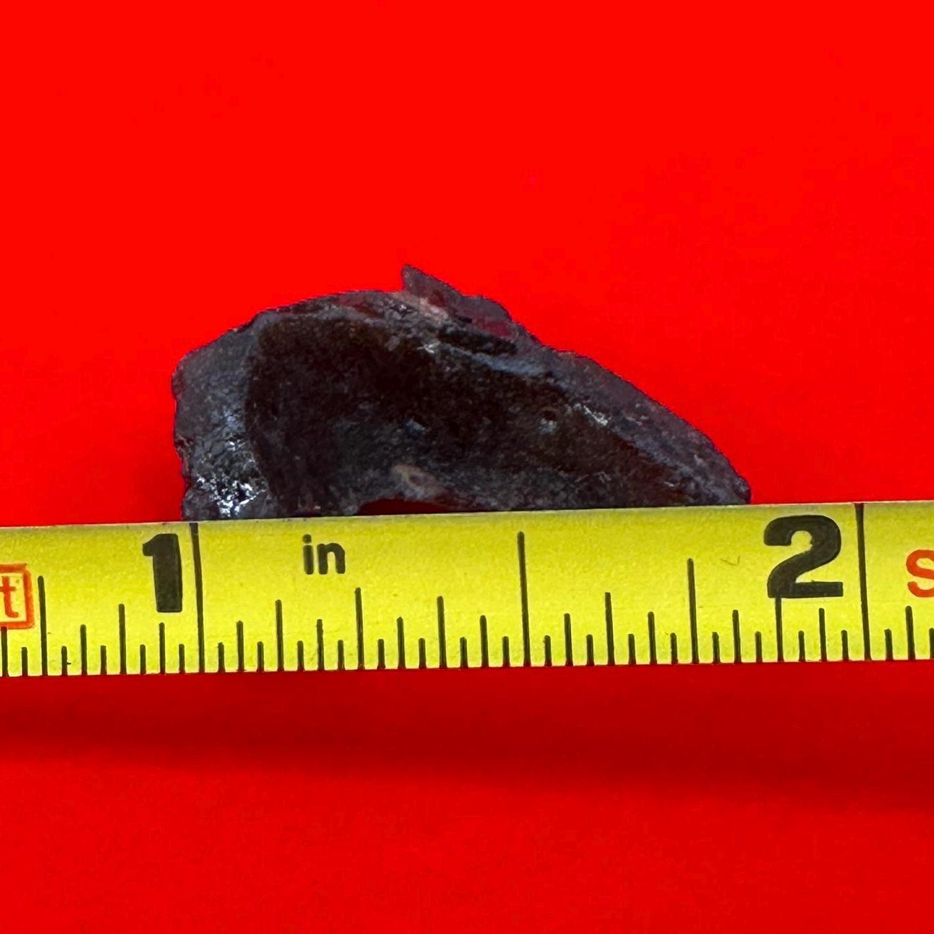 Darwin Glass, Darwinite, Tektite, Grounding, Manifestation Talisman, Tasmania, Astronomy Gift, Tektite Collection, 2.21 grams