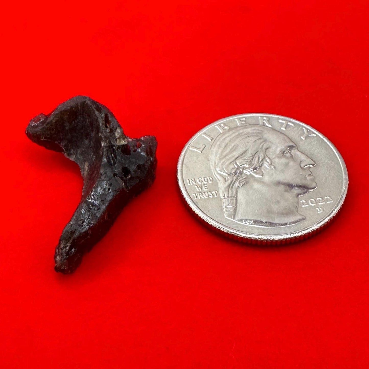 Darwin Glass, Darwinite, Tektite, Grounding, Manifestation Talisman, Tasmania, Astronomy Gift, Tektite Collection, 2.21 grams