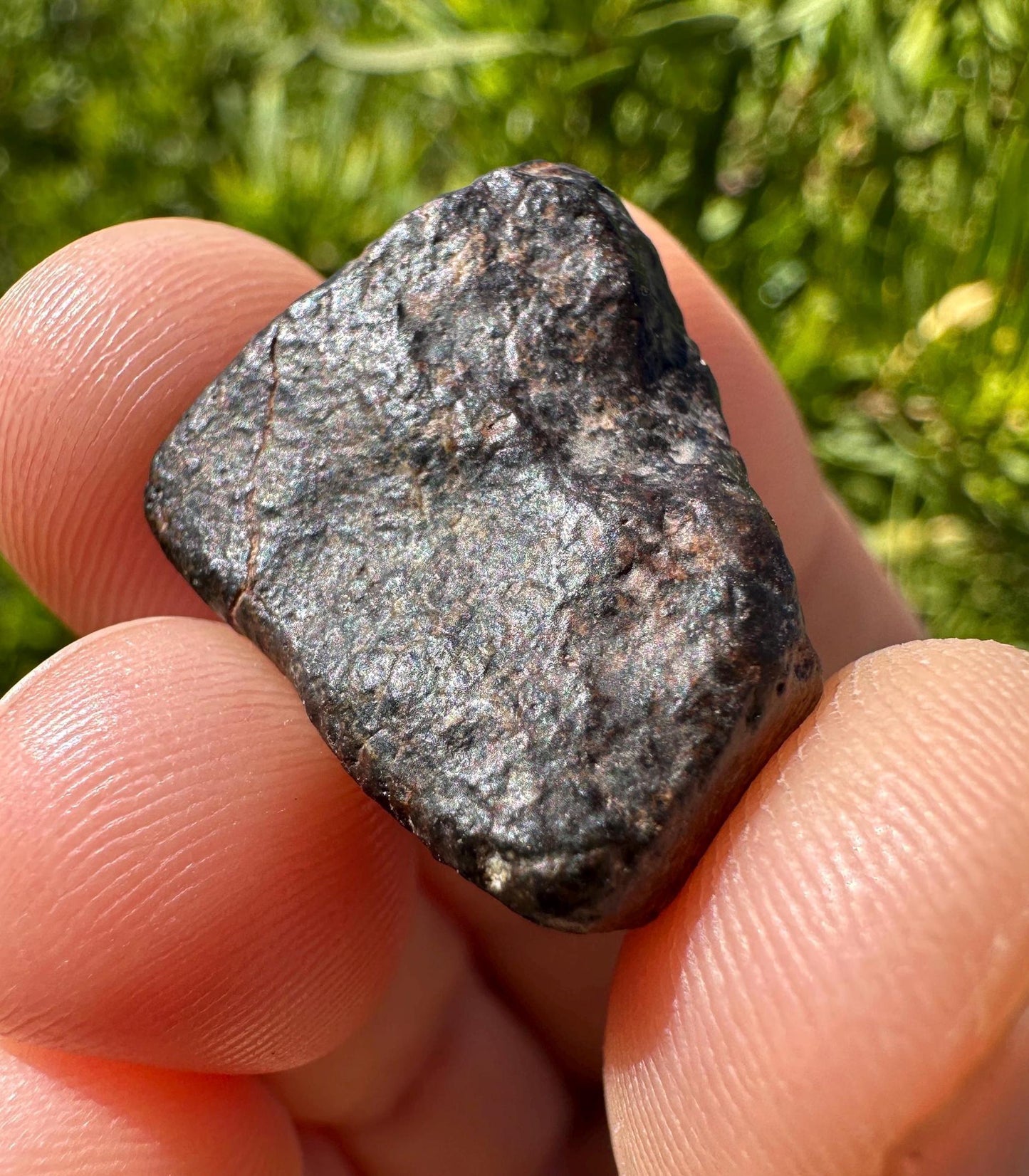 Meteorite NWA 869 Chondrite Stony Meteorite, 10.36 grams, Authentic Meteorite, Authentic Meteorite, COA, Astronomy Gift, Space Gift