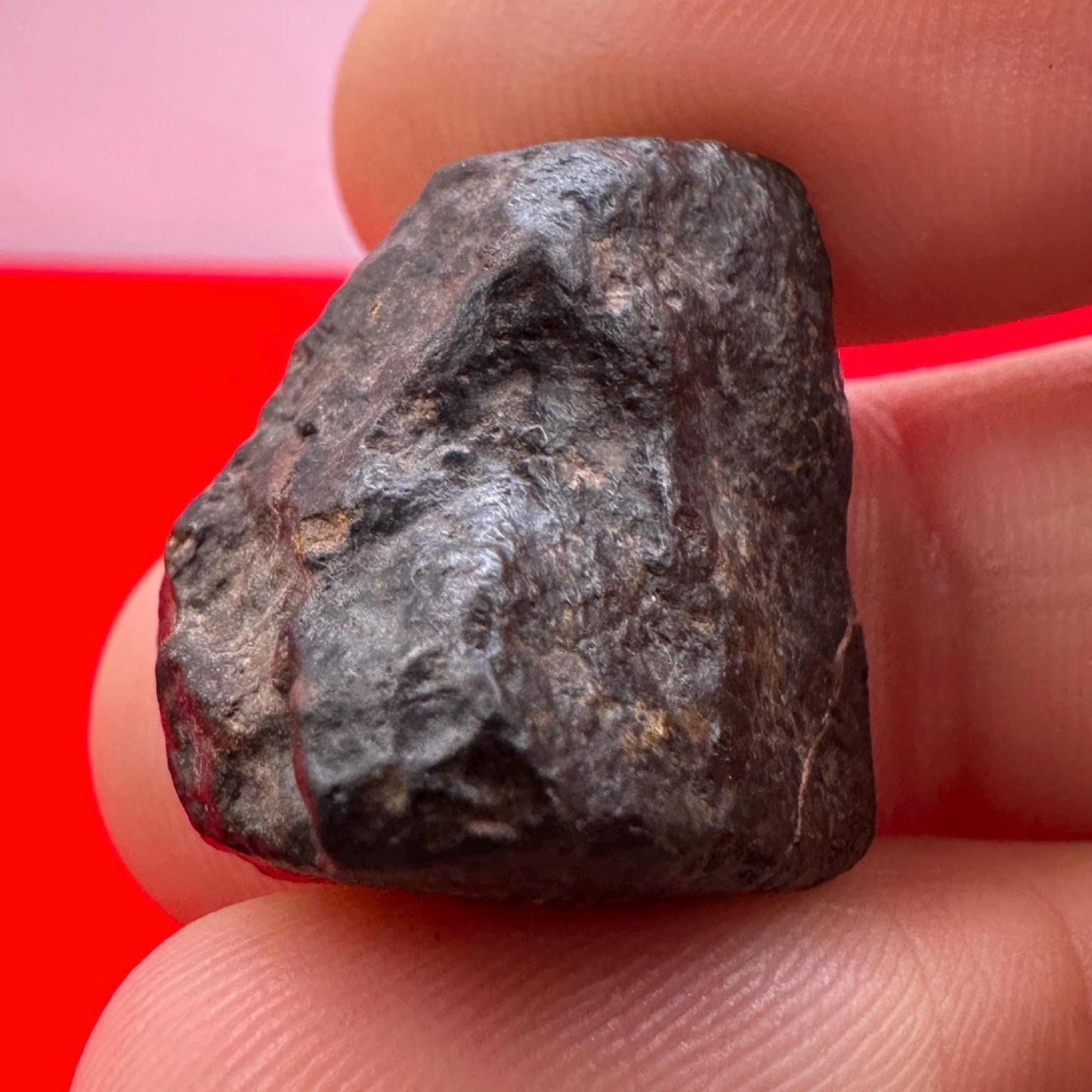 Meteorite NWA 869 Chondrite Stony Meteorite, 10.36 grams, Authentic Meteorite, Authentic Meteorite, COA, Astronomy Gift, Space Gift