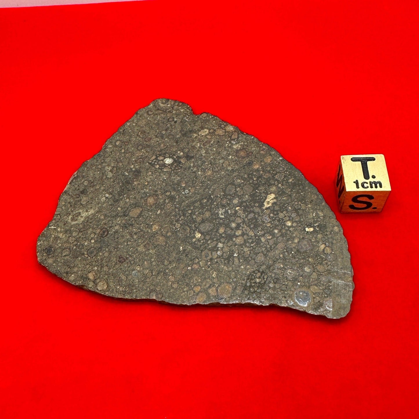 NWA 14793 Meteorite Slice, CV3, Carbonaceous Chondrite, Chondrules, Meteorite, Meteorite Collection, Chondrite, Astronomy Gift, 18.99 grams