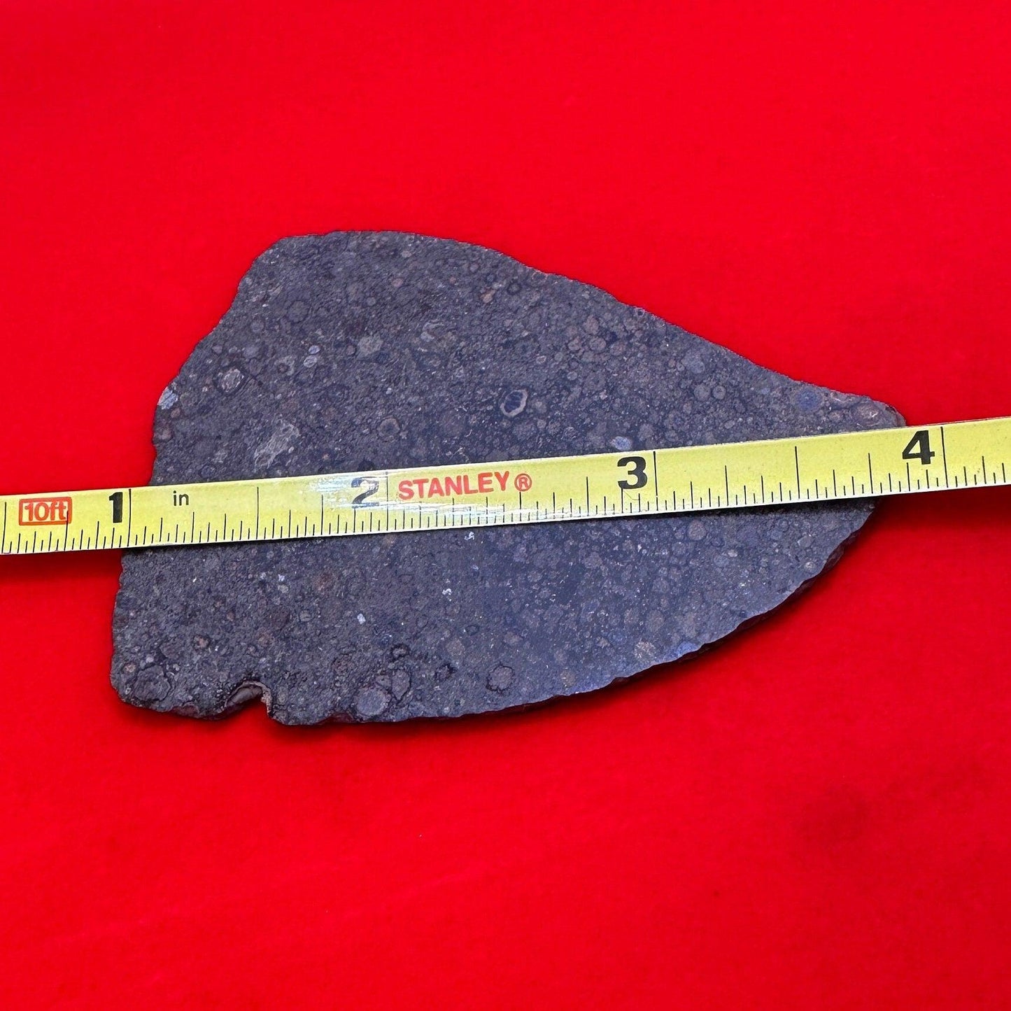 NWA 14793 Meteorite Slice, CV3, Carbonaceous Chondrite, Chondrules, Meteorite, Meteorite Collection, Chondrite, Astronomy Gift, 18.99 grams