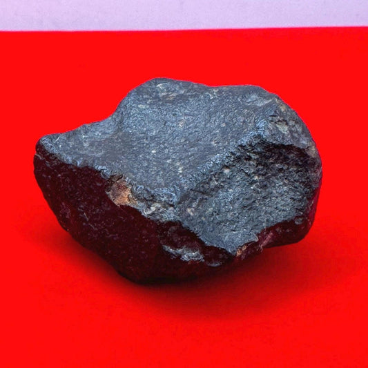 Meteorite NWA 869 Chondrite Stony Meteorite, 53.83 grams, Authentic Meteorite, Authentic Meteorite, COA, Astronomy Gift, Space Gift