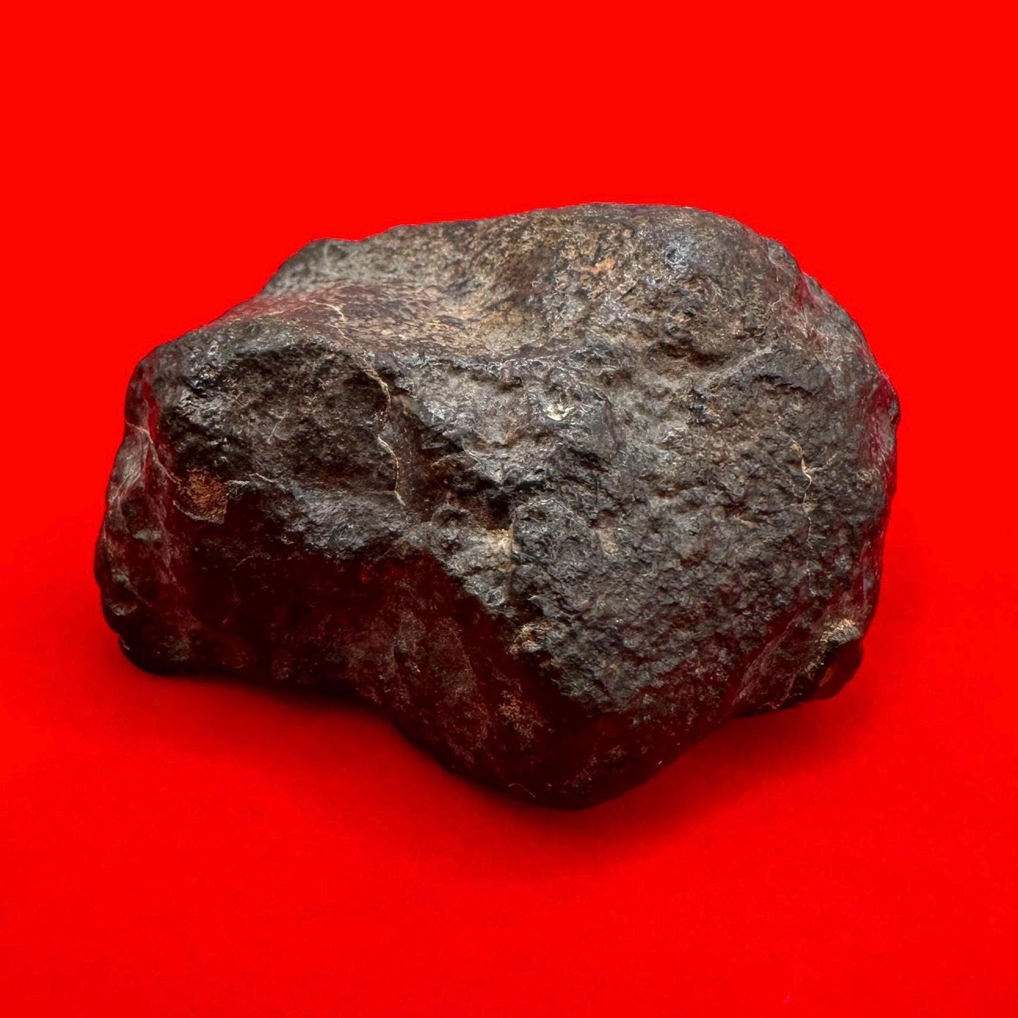 Meteorite NWA 869 Chondrite Stony Meteorite, 53.83 grams, Authentic Meteorite, Authentic Meteorite, COA, Astronomy Gift, Space Gift