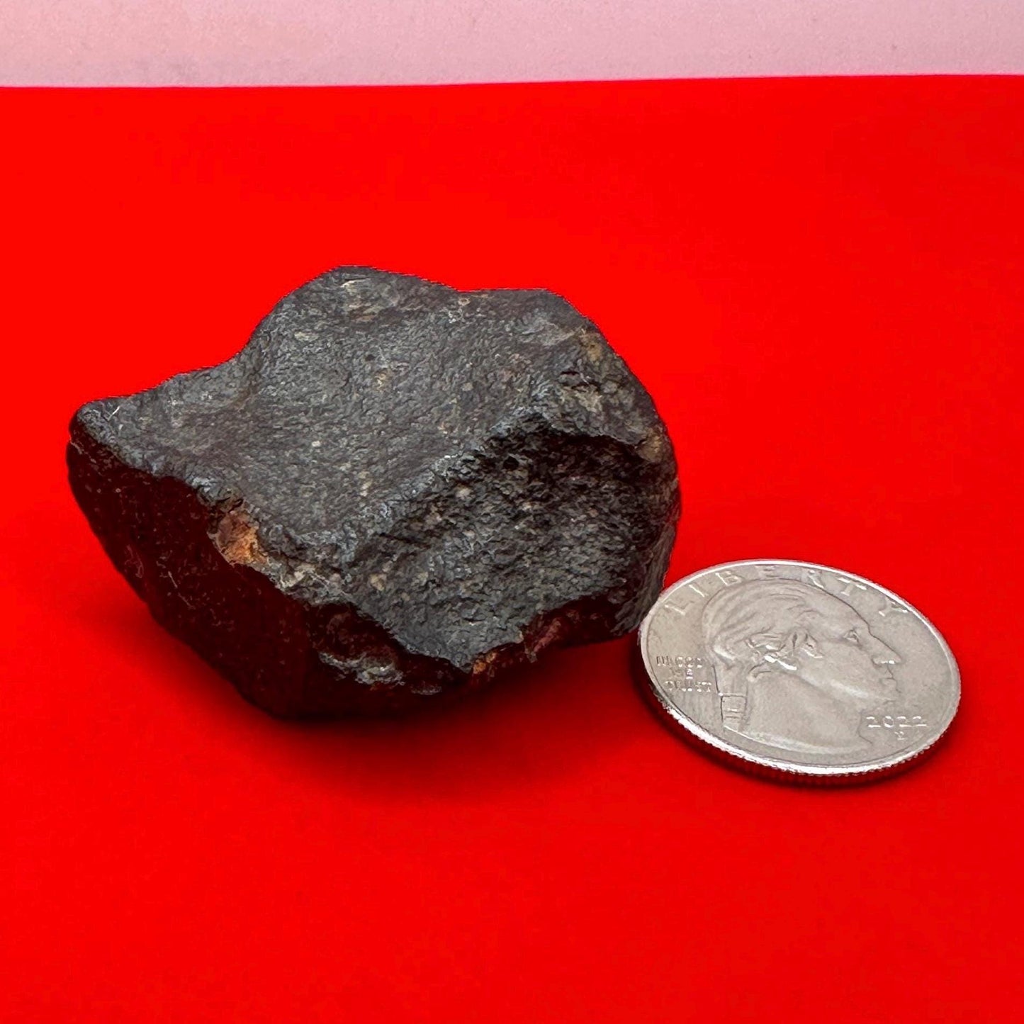 Meteorite NWA 869 Chondrite Stony Meteorite, 53.83 grams, Authentic Meteorite, Authentic Meteorite, COA, Astronomy Gift, Space Gift