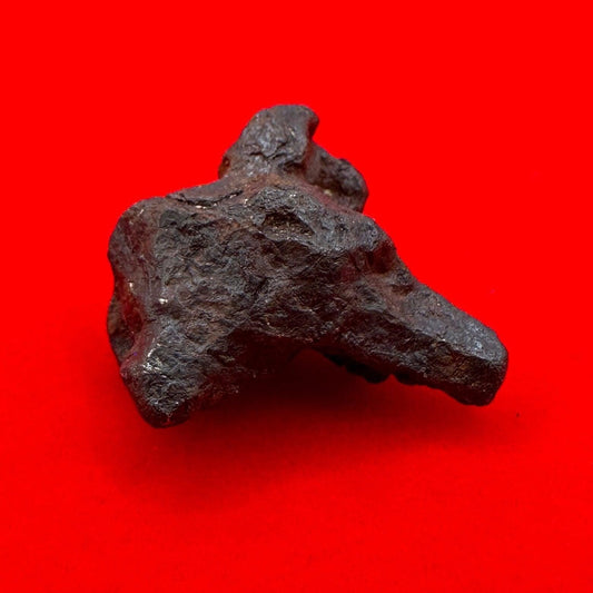 Canyon Diablo Meteorite Specimen, Arizona, 10.90 grams, Rare Meteorite, Iron Meteorite, Astronomy Gift, Space Gift, Energy Work, Meteorite