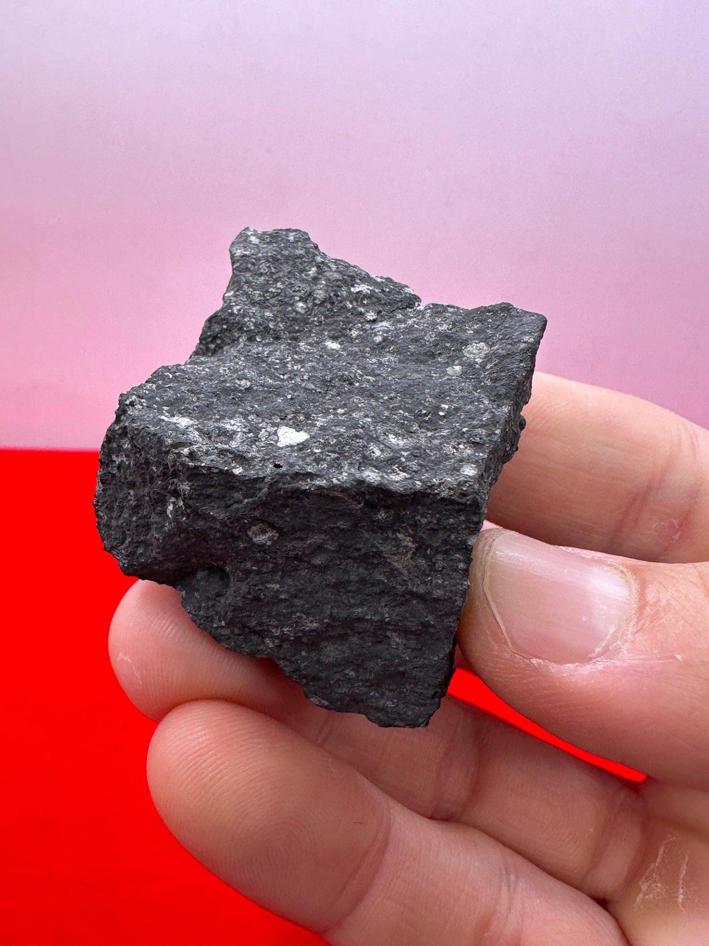 Allende Carbonaceous Chondrite, CV3, 48.38 grams, Authentic Meteorite, Allende, Authentic Meteorite, COA, Astronomy Gift, Space Gift